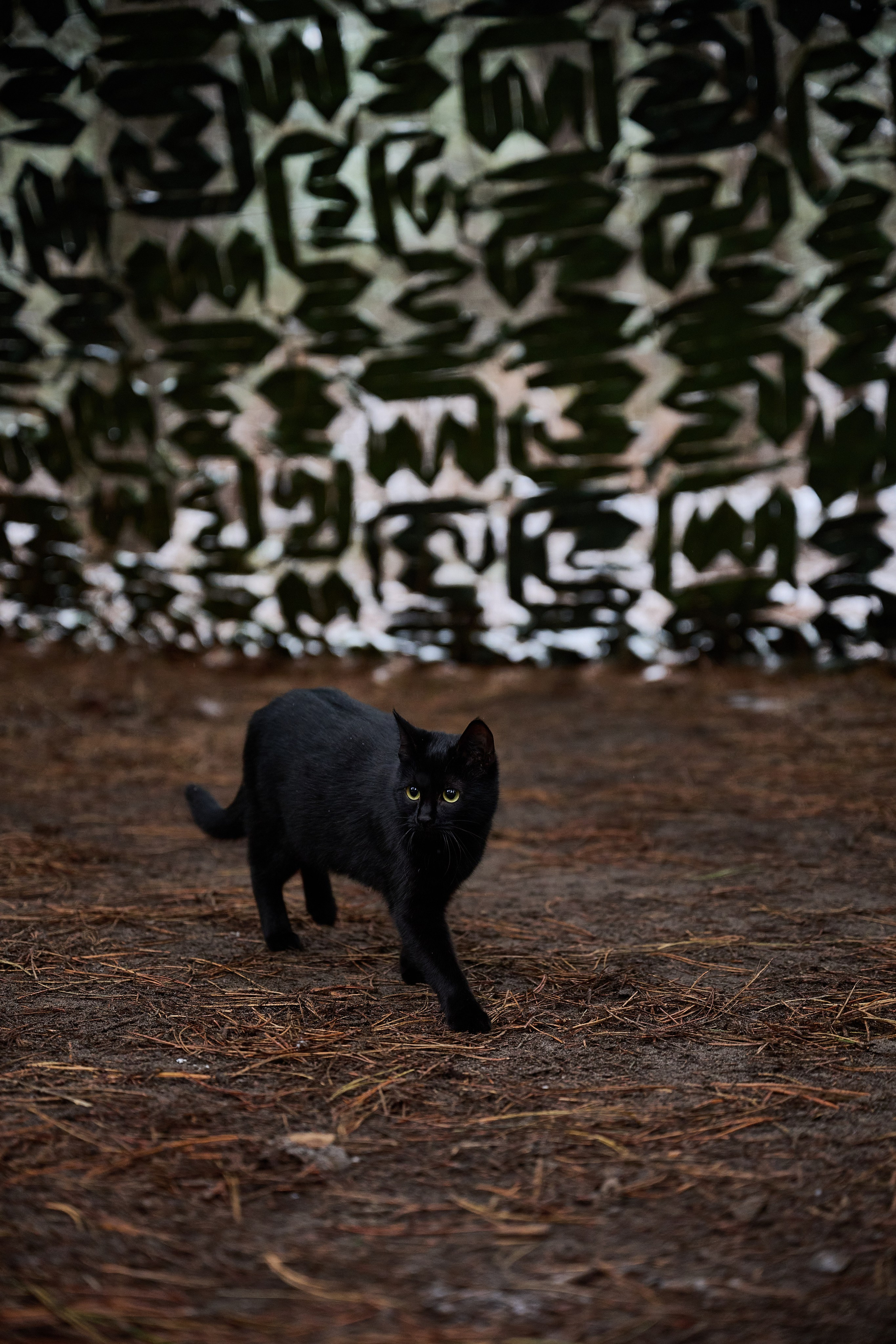 Будни съёмок фотопроекта Территории. Фотограф Роман Адлер