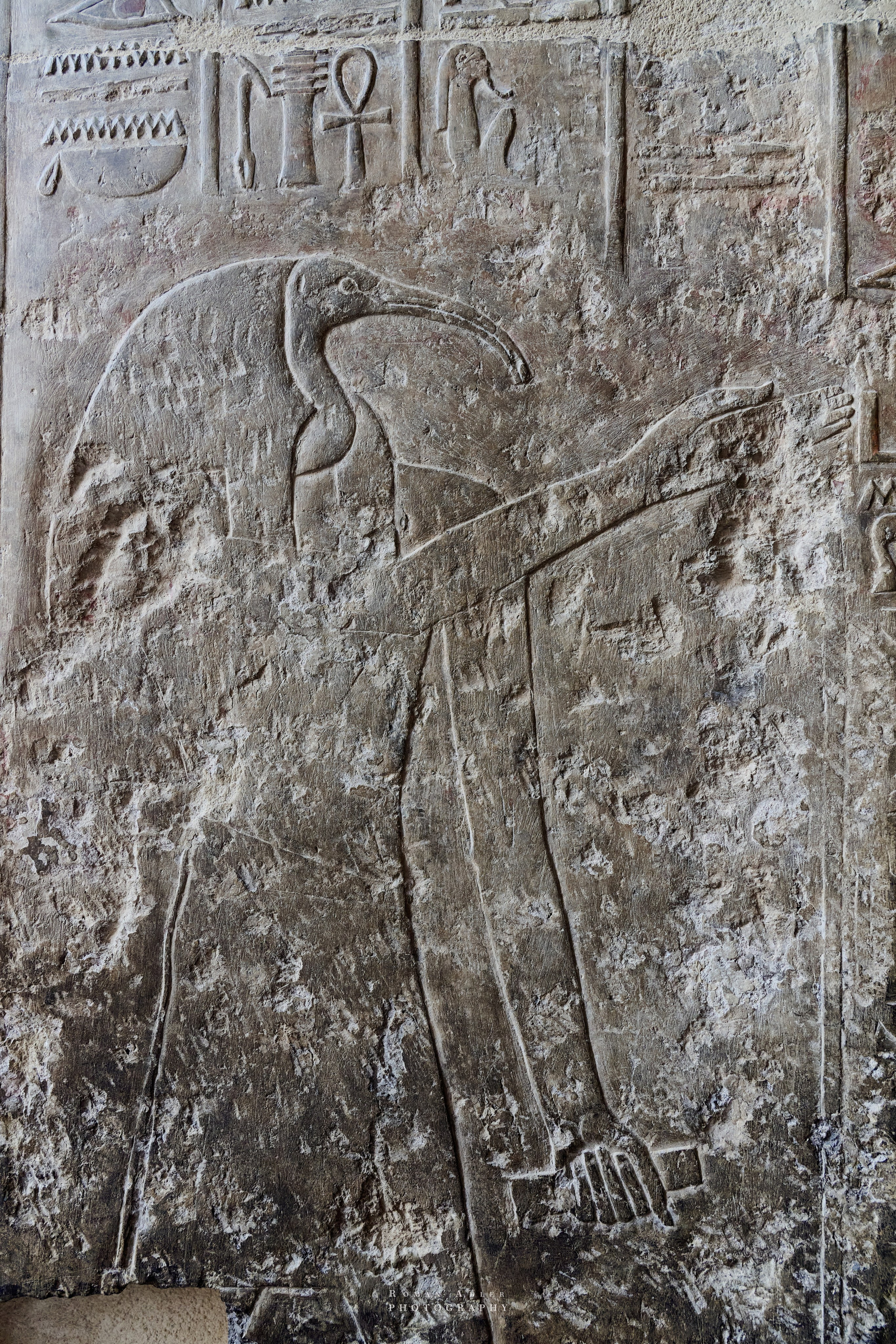 Луксор. Февраль 2025. Фотограф Роман Адлер