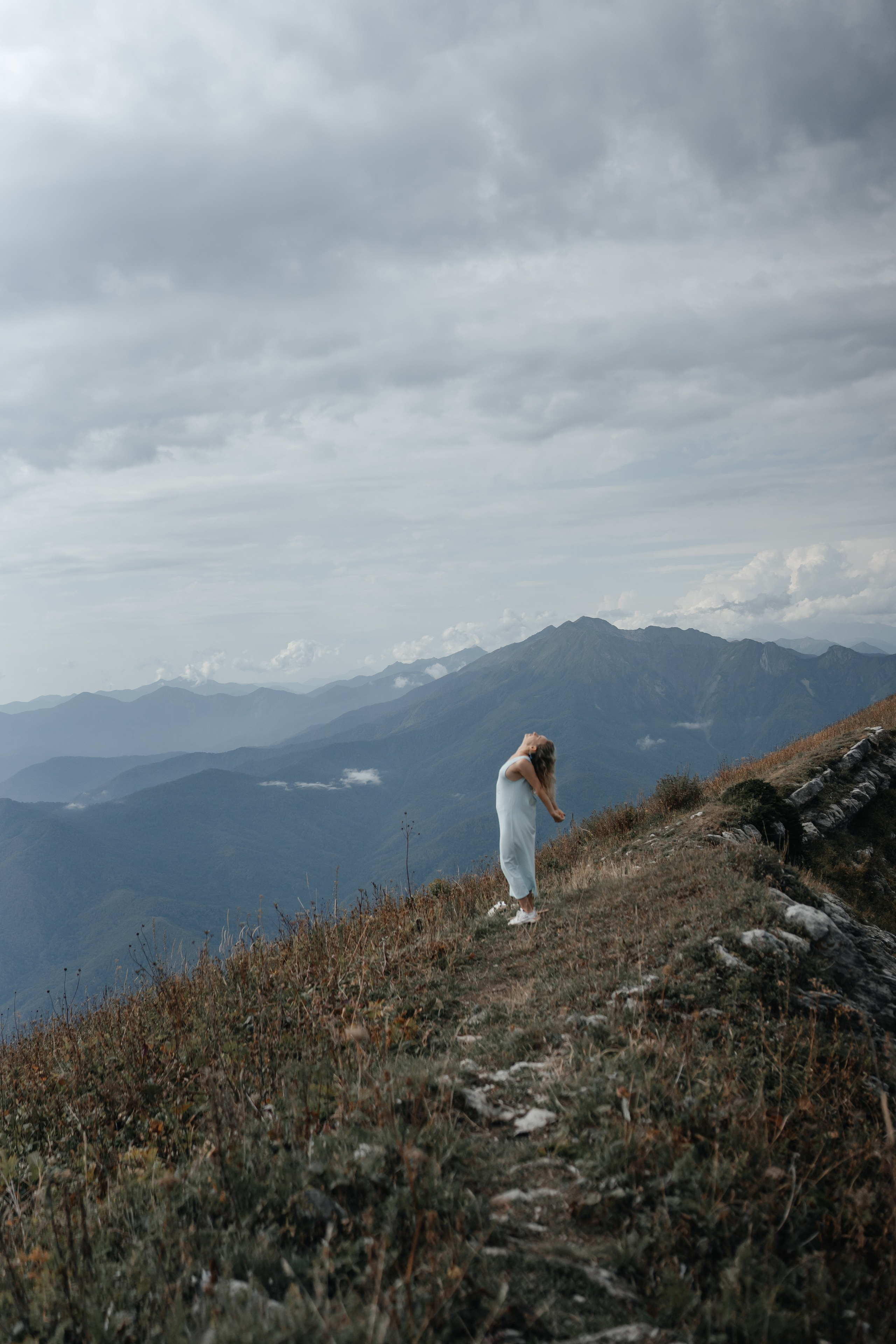 Астра. Главная