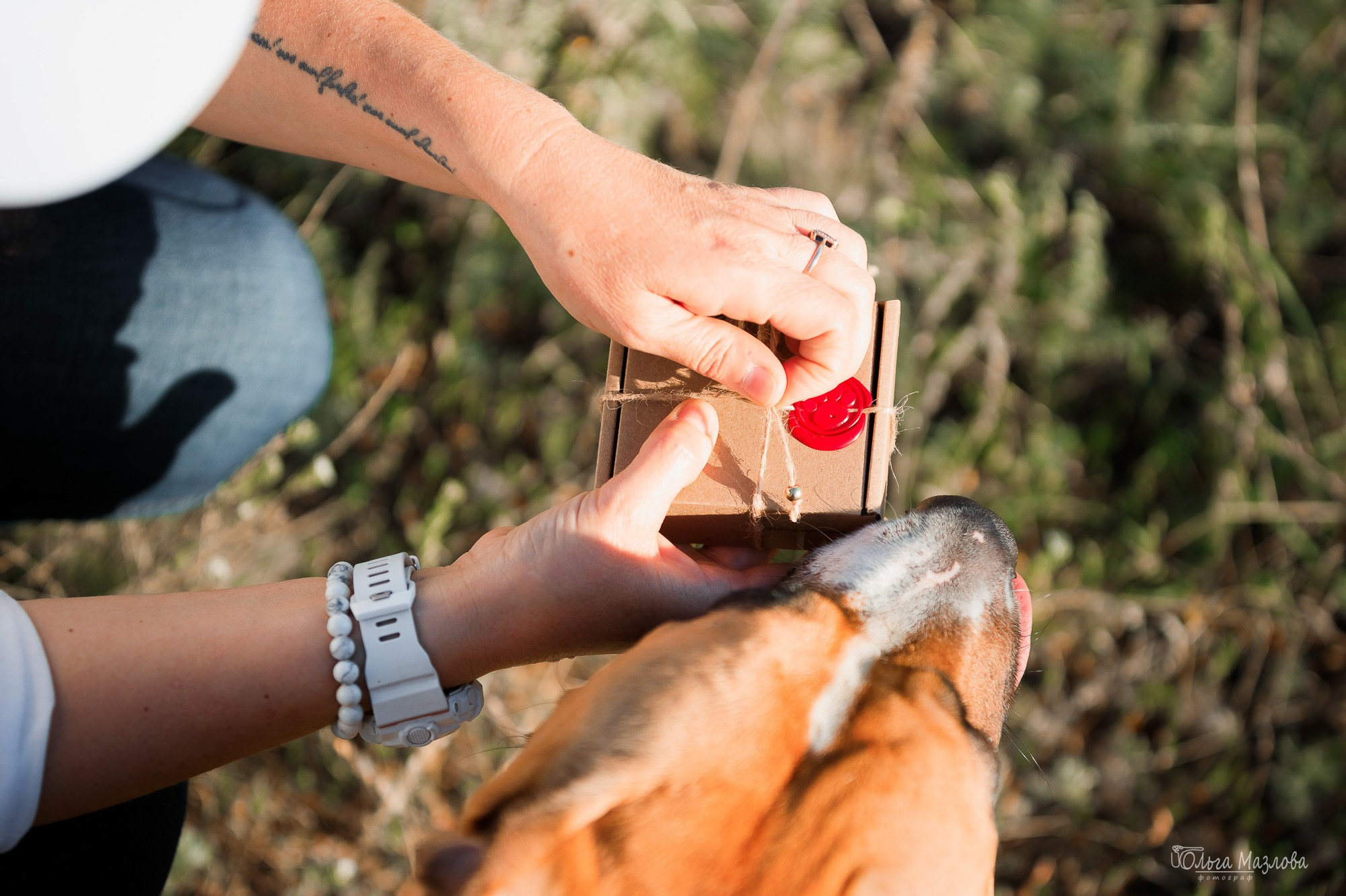 Шона и ее семья. Фотограф в Саратове Ольга Мазлова