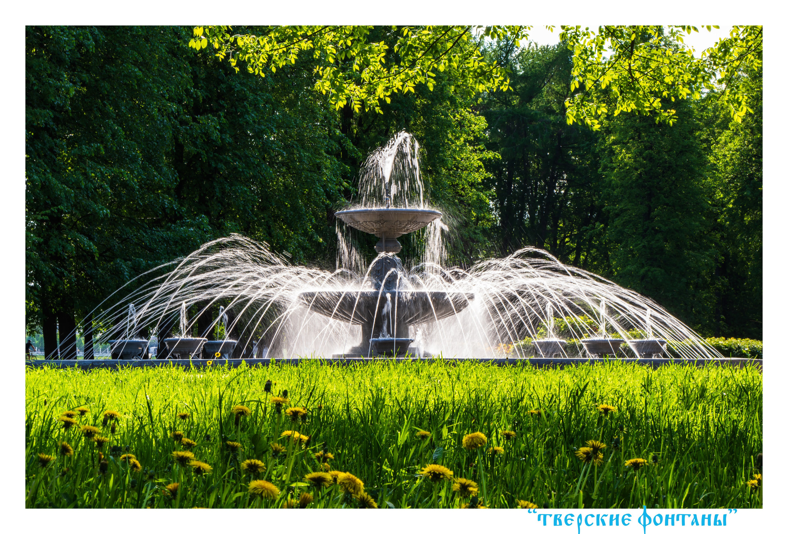 Уличное оформление на День города для центральной библиотеки имени Герцена. Тверь 890 лет. Фотограф — оформитель. Москва — Тверь