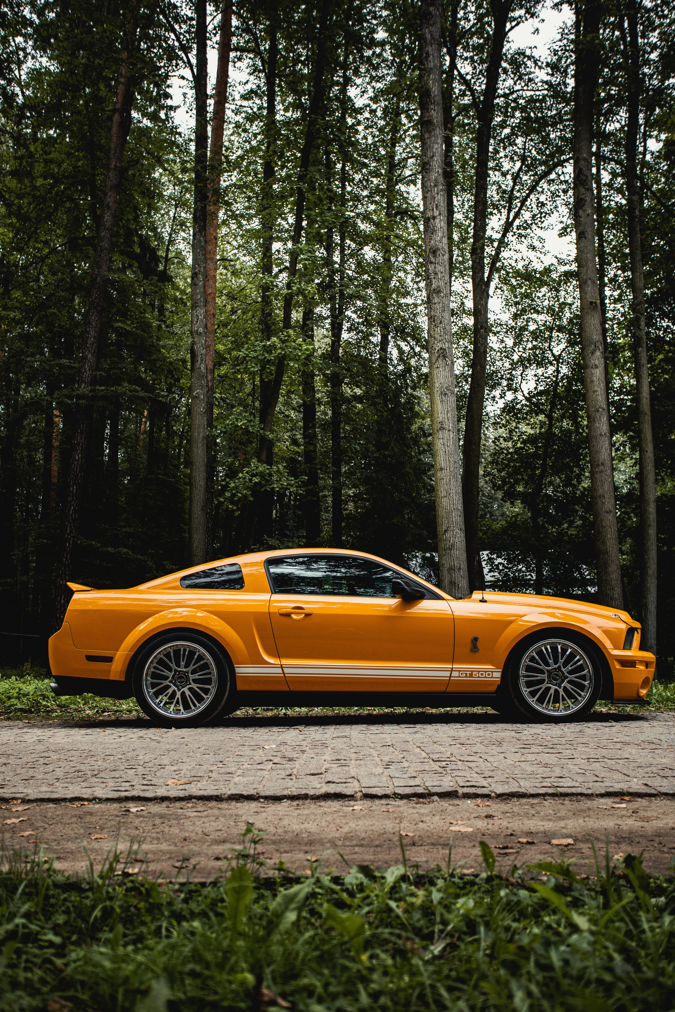 Автовыходные в Архангельской усадьбе. Спортивный фотограф — Никита