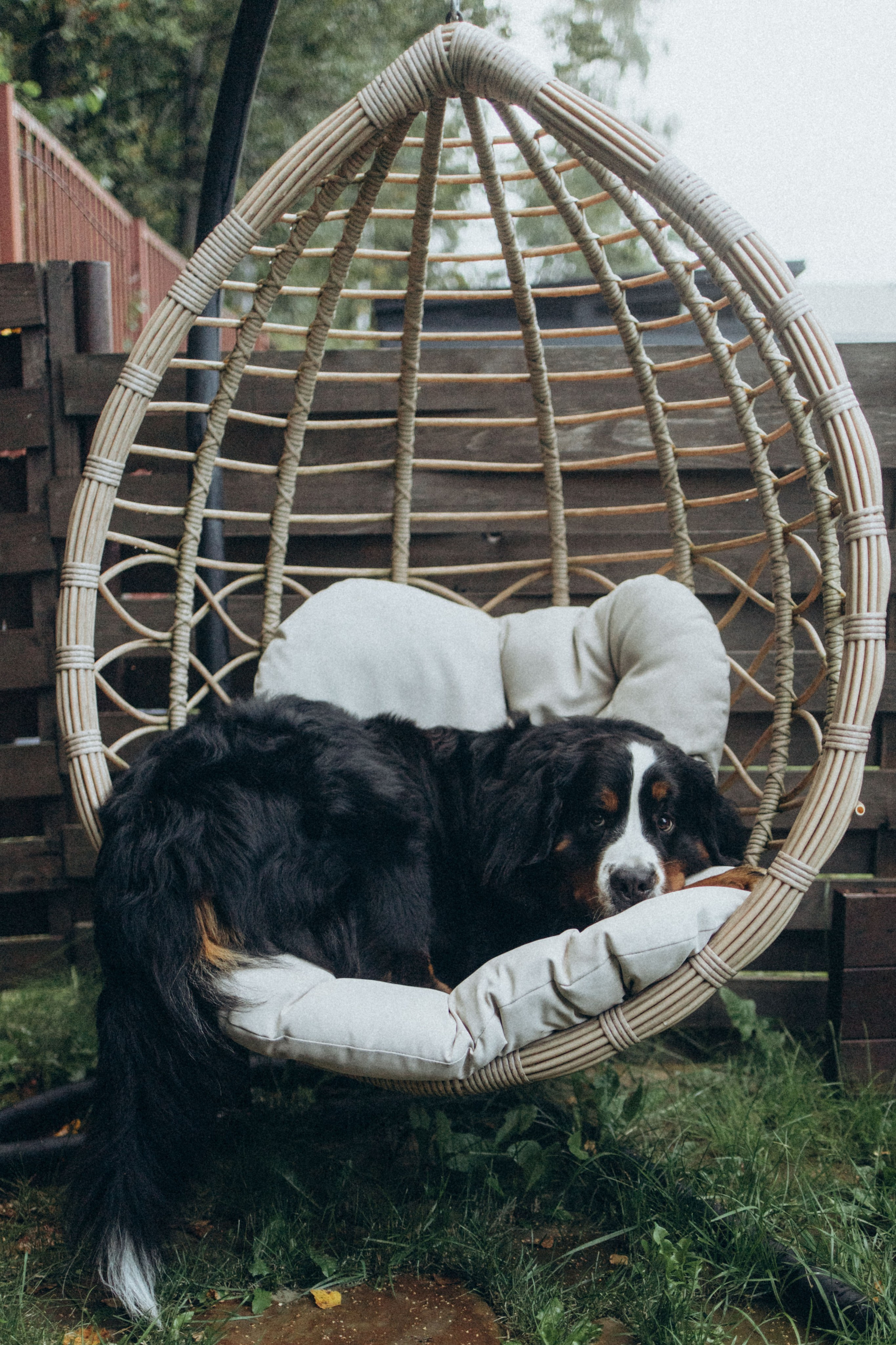 Таня и Тери