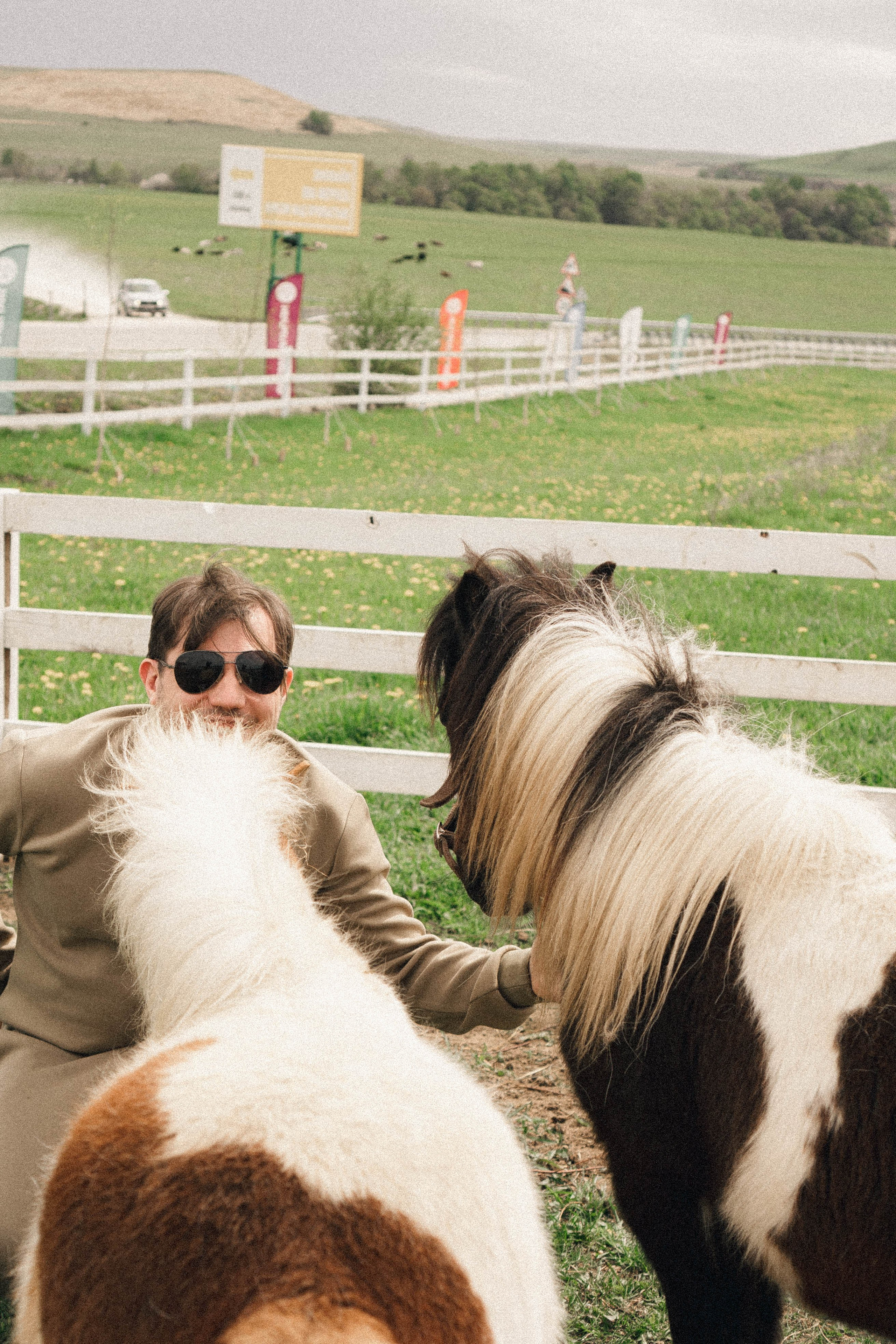 Ферма Альпак. Профессиональный фотограф, Санкт-Петербург — Виктория Богомолова