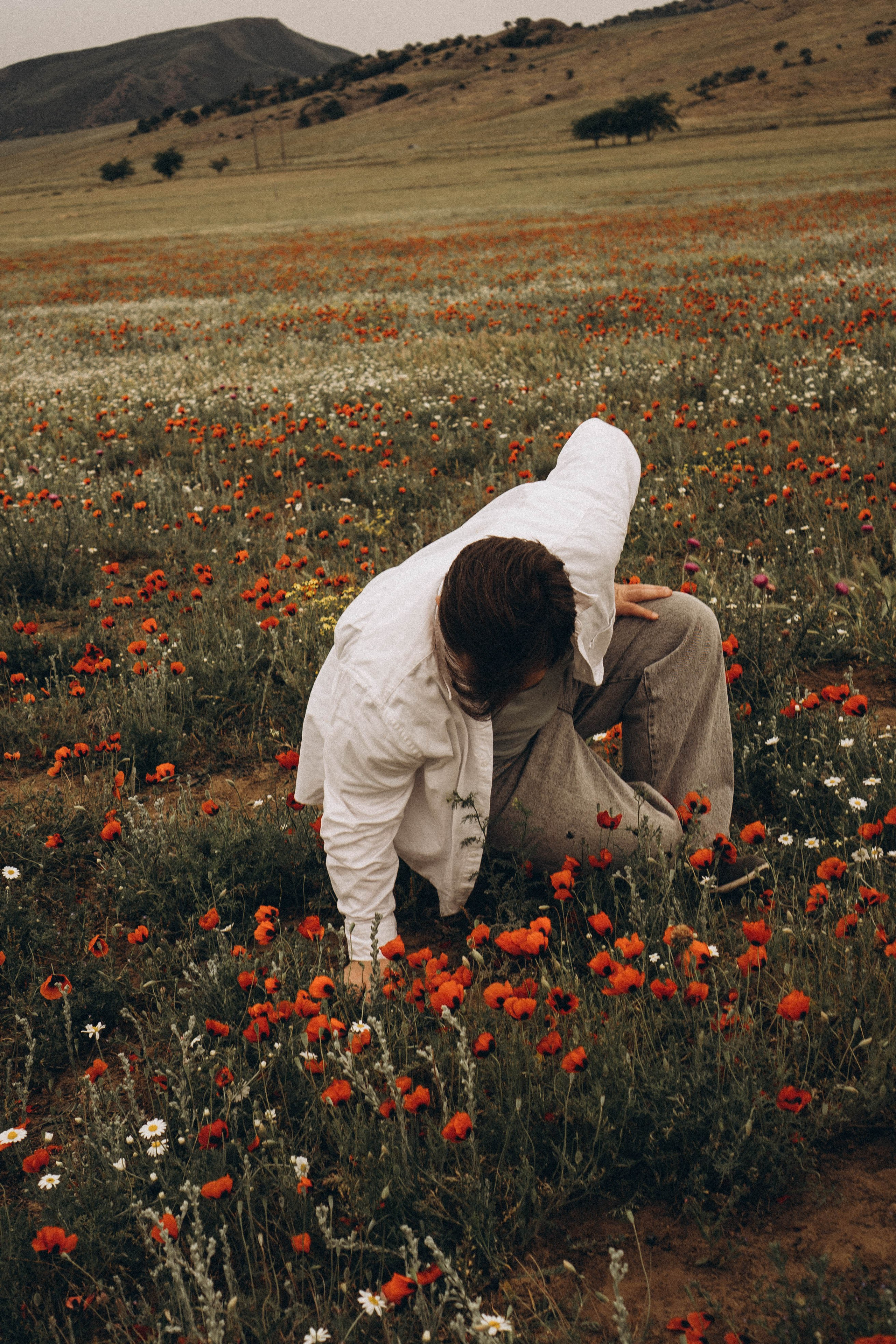 Маки. Профессиональный фотограф, Санкт-Петербург — Виктория Богомолова