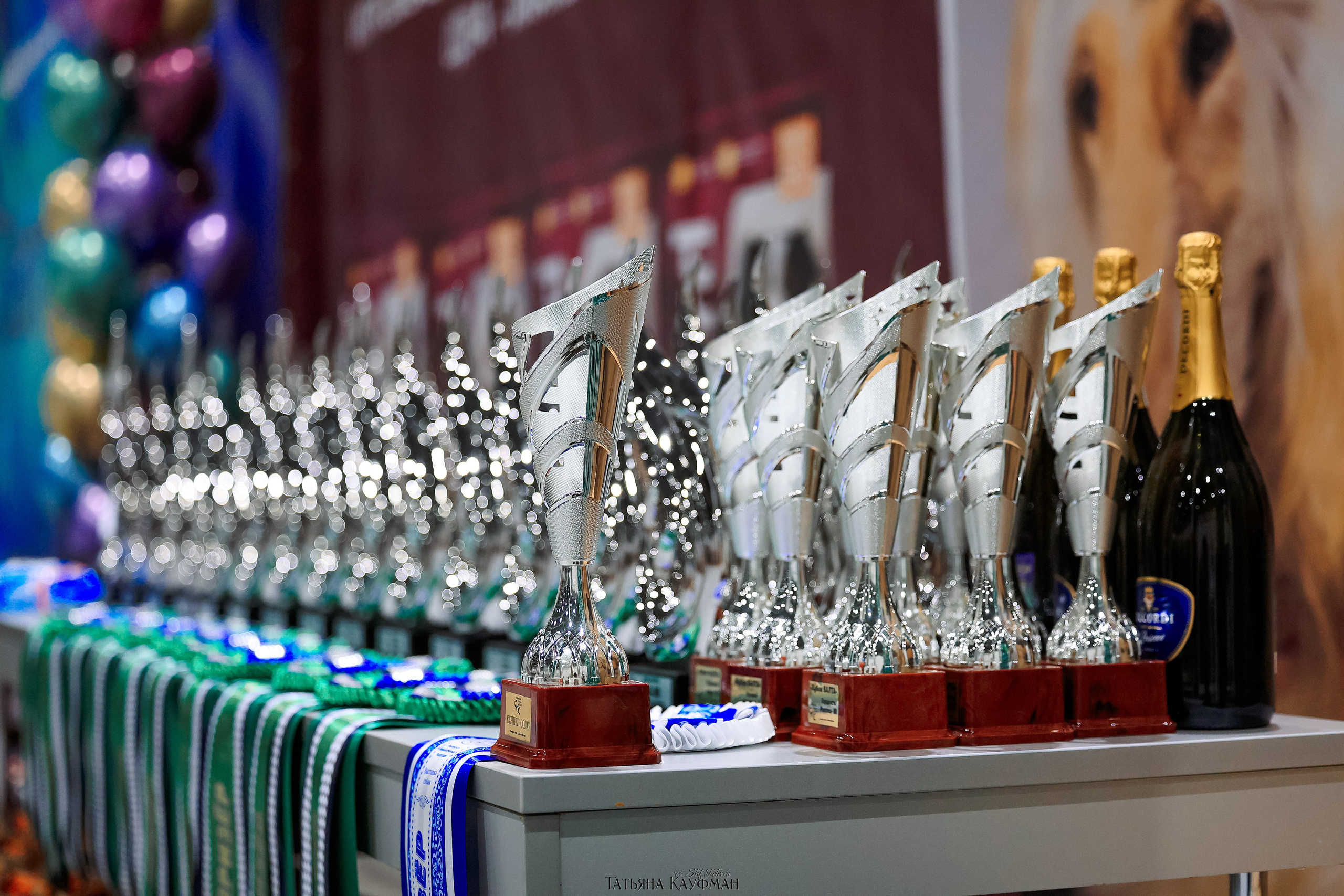 28-29.03.2026 Рейтинговая выставка в Новосибирске. Фотограф Анималист из Новосибирска Татьяна Кауфман