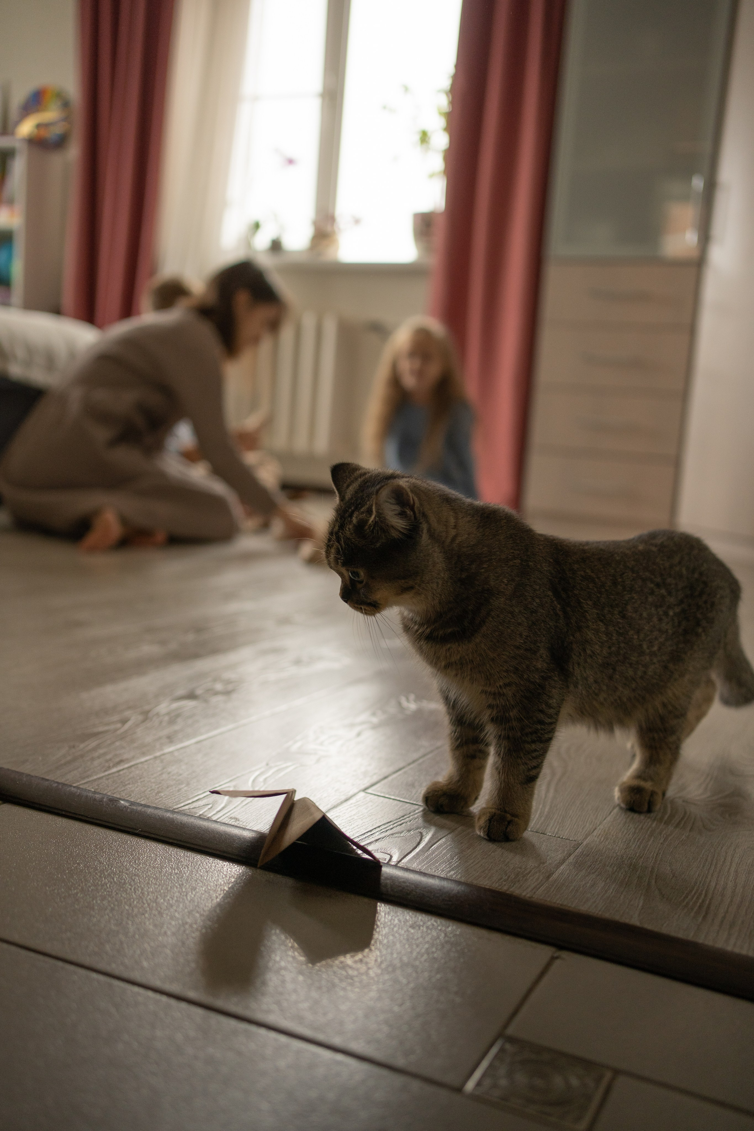 Семейная съемка для Галины. Фотограф Катя Стрельцова