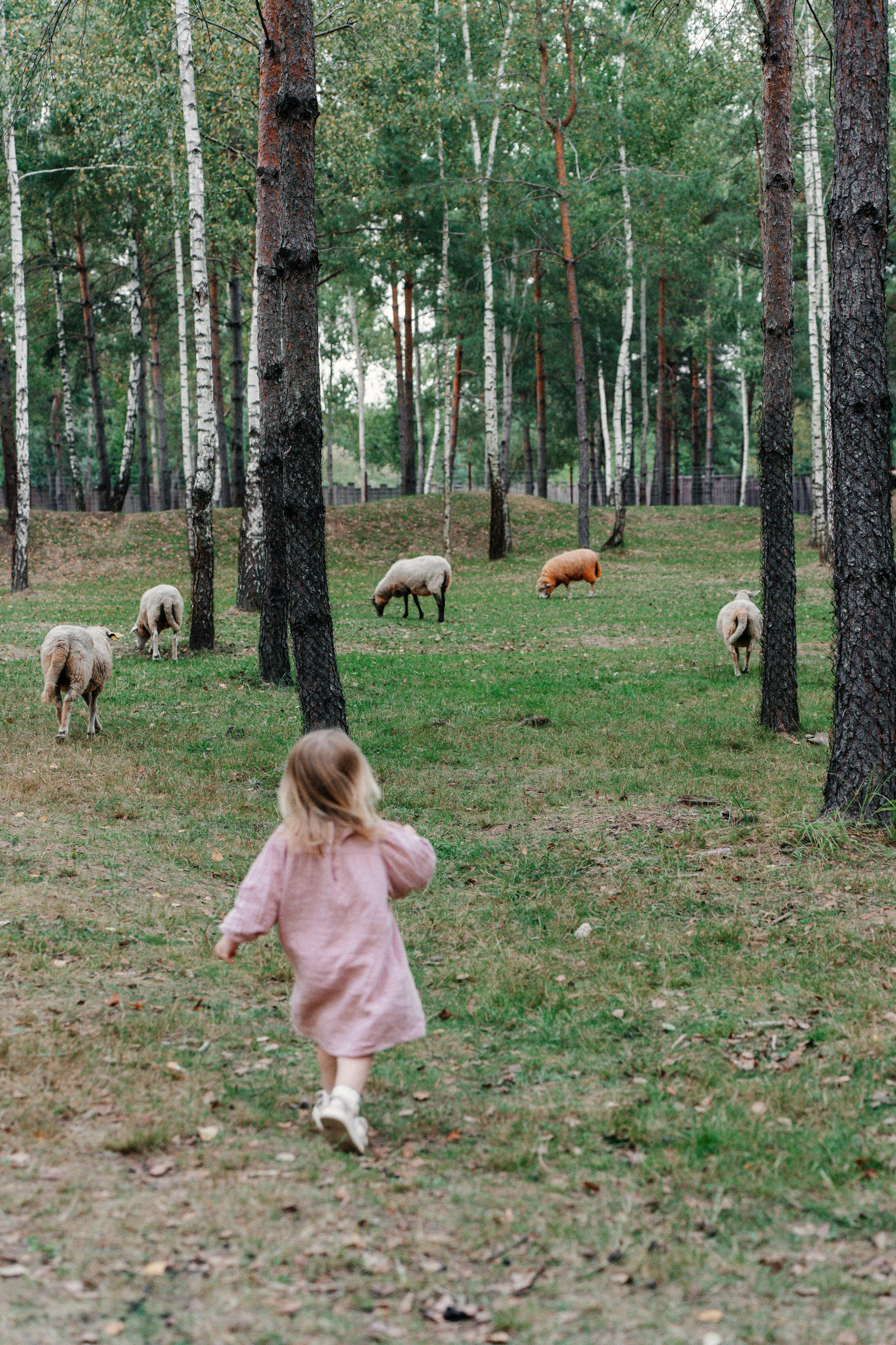 Диприз — в мире диких животных. Ваш семейный фотограф в Минске — Вика Трегубова
