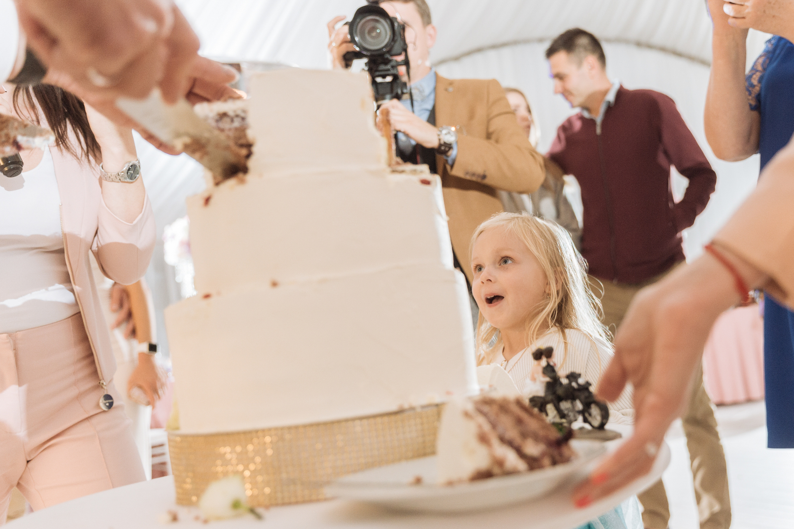 Обещали дождь? '19. Портфолио свадебного фотографа. Роман Каргаполов