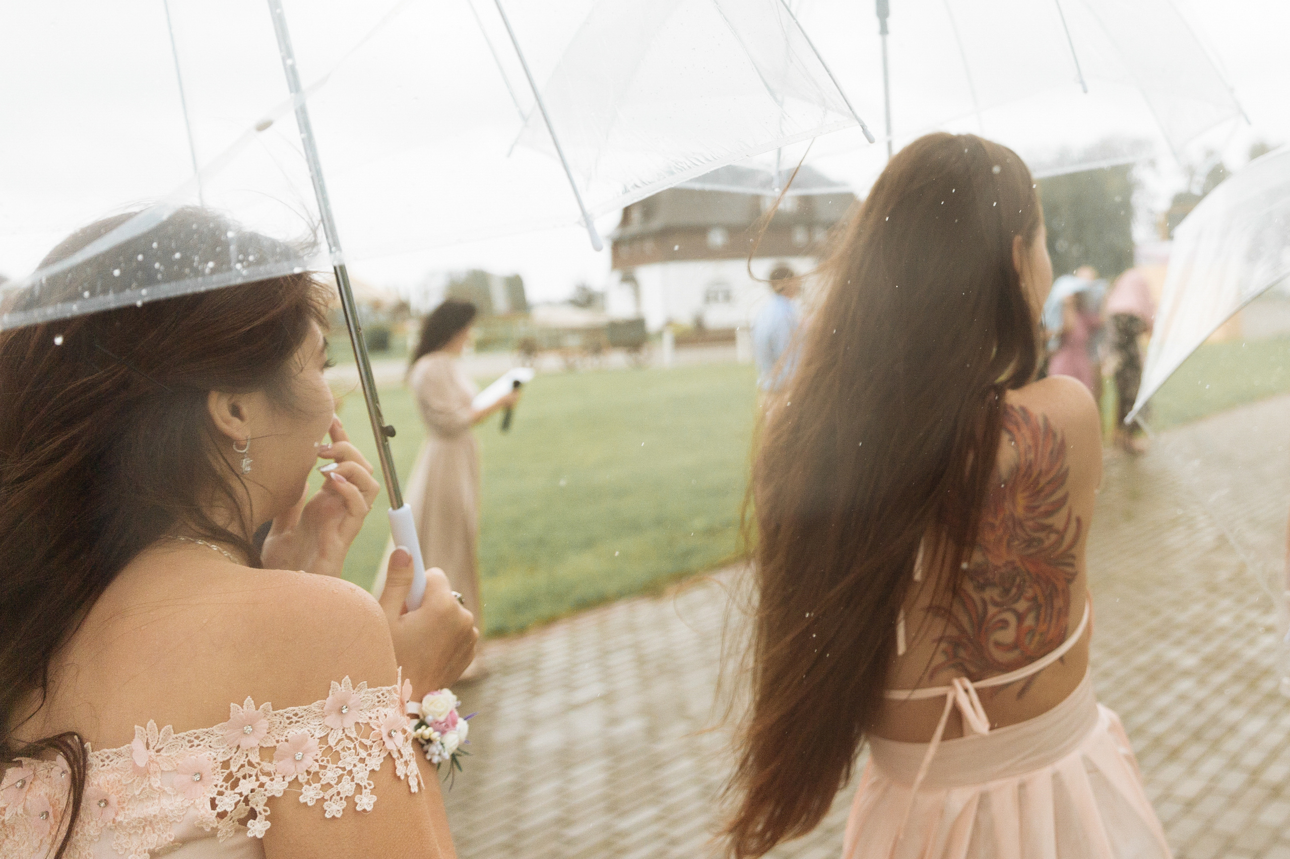 Обещали дождь? '19. Портфолио свадебного фотографа. Роман Каргаполов