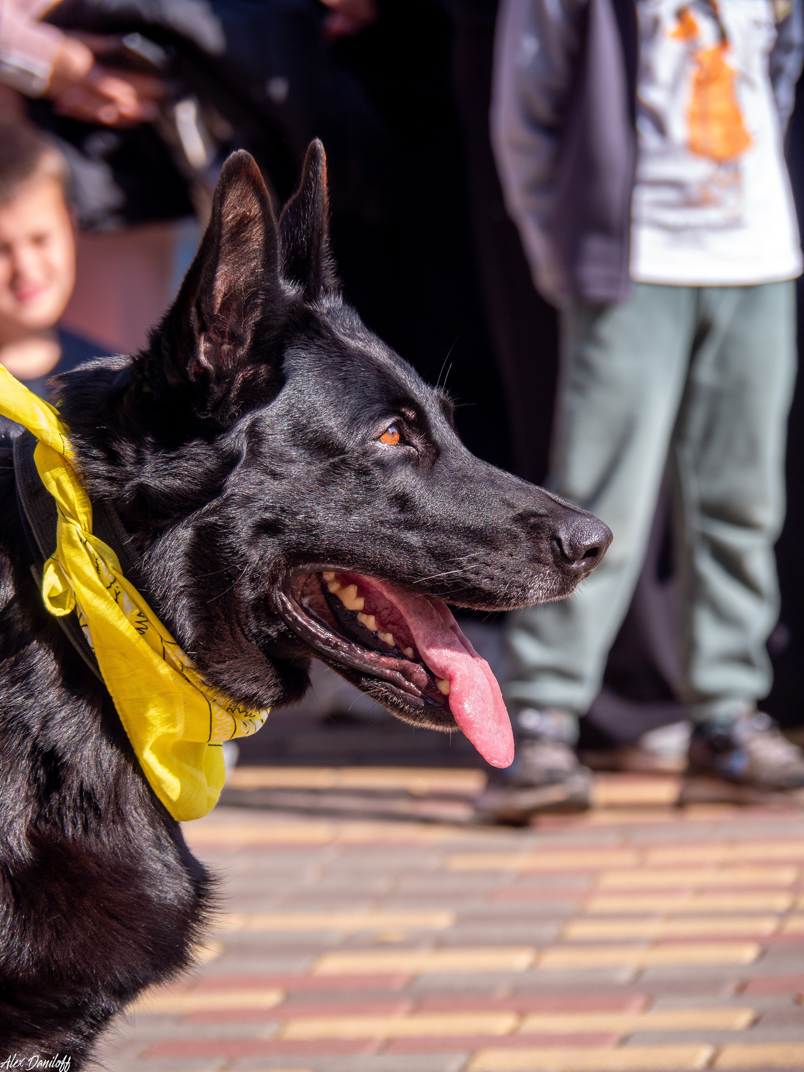 Обнимака 2025. Муром-Инфо. Новости культуры, образования, спорта в городе Муром