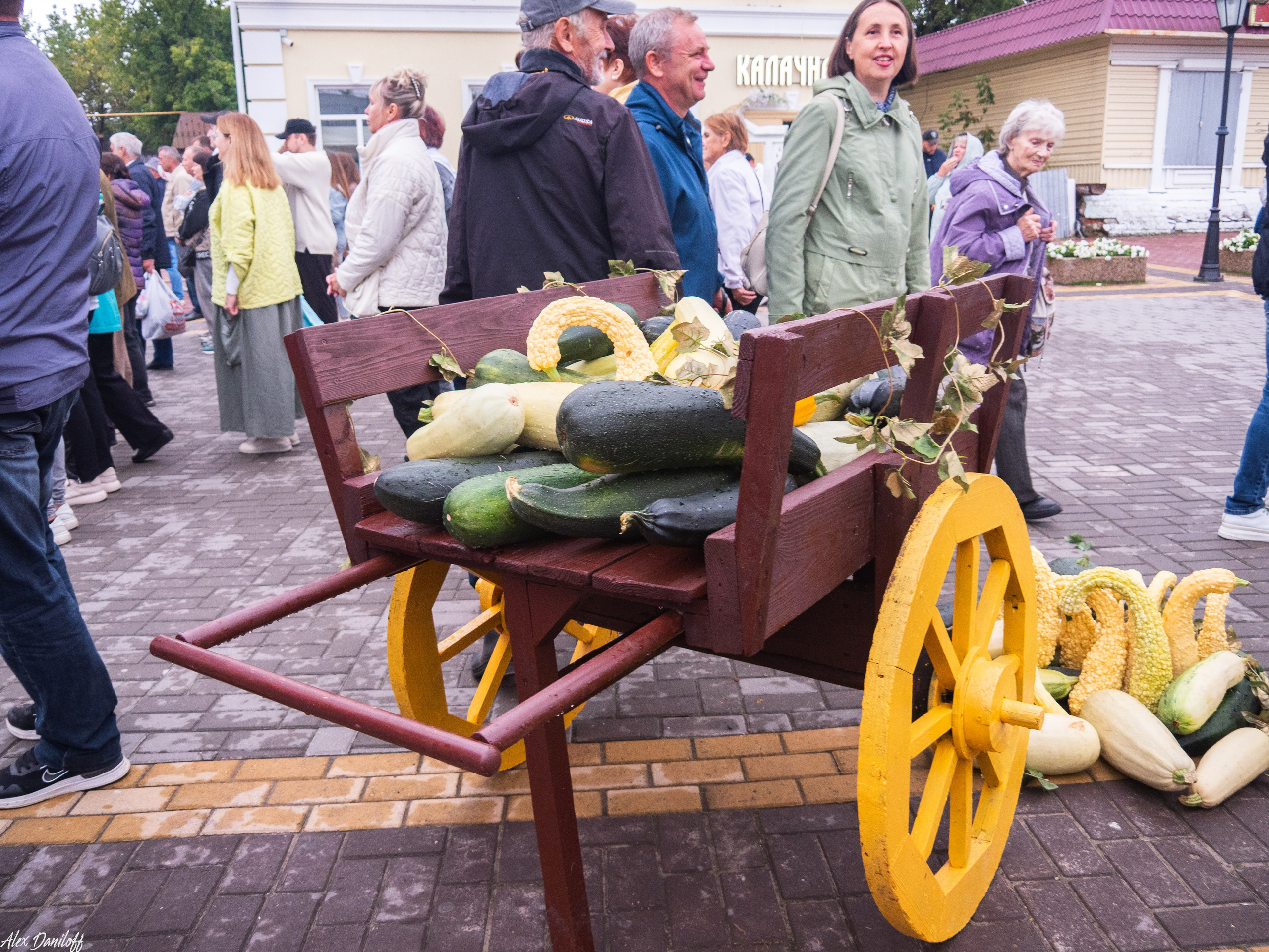 День города Муром 2025. Муром-Инфо. Новости культуры, образования, спорта в городе Муром