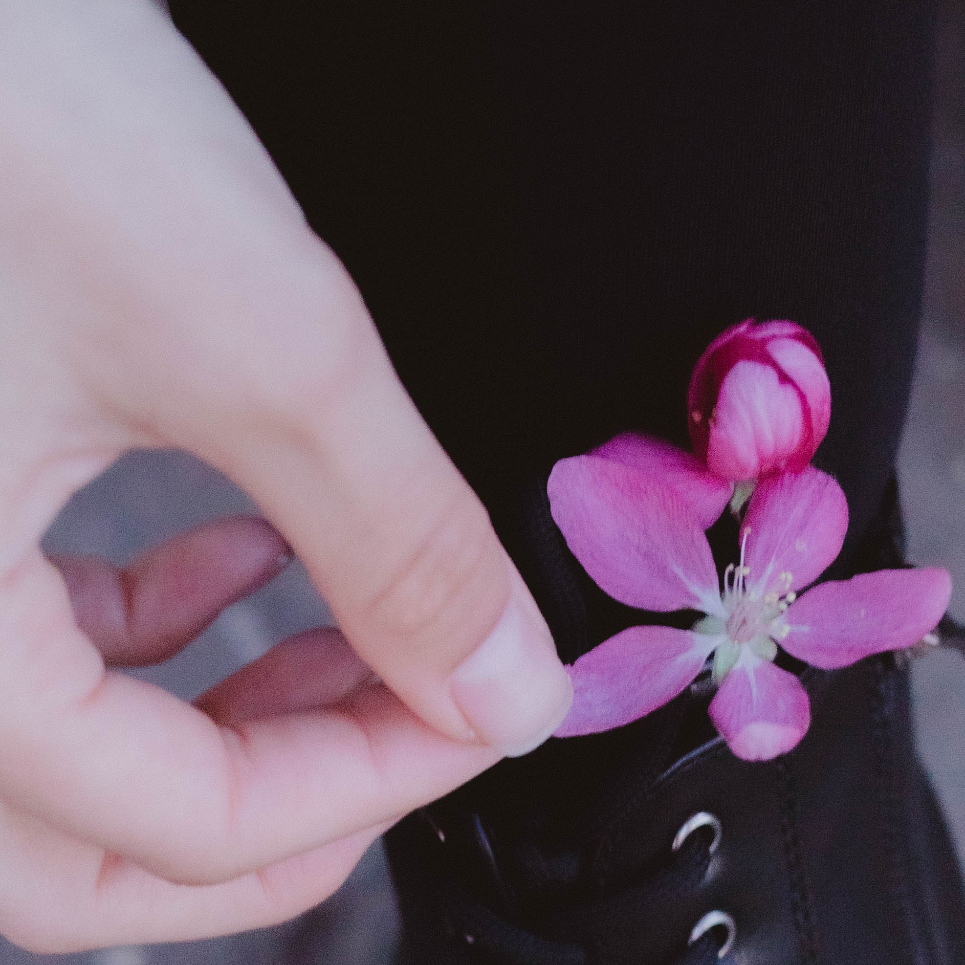 Диана. Александра Мельниченко/ Бегающий фотограф