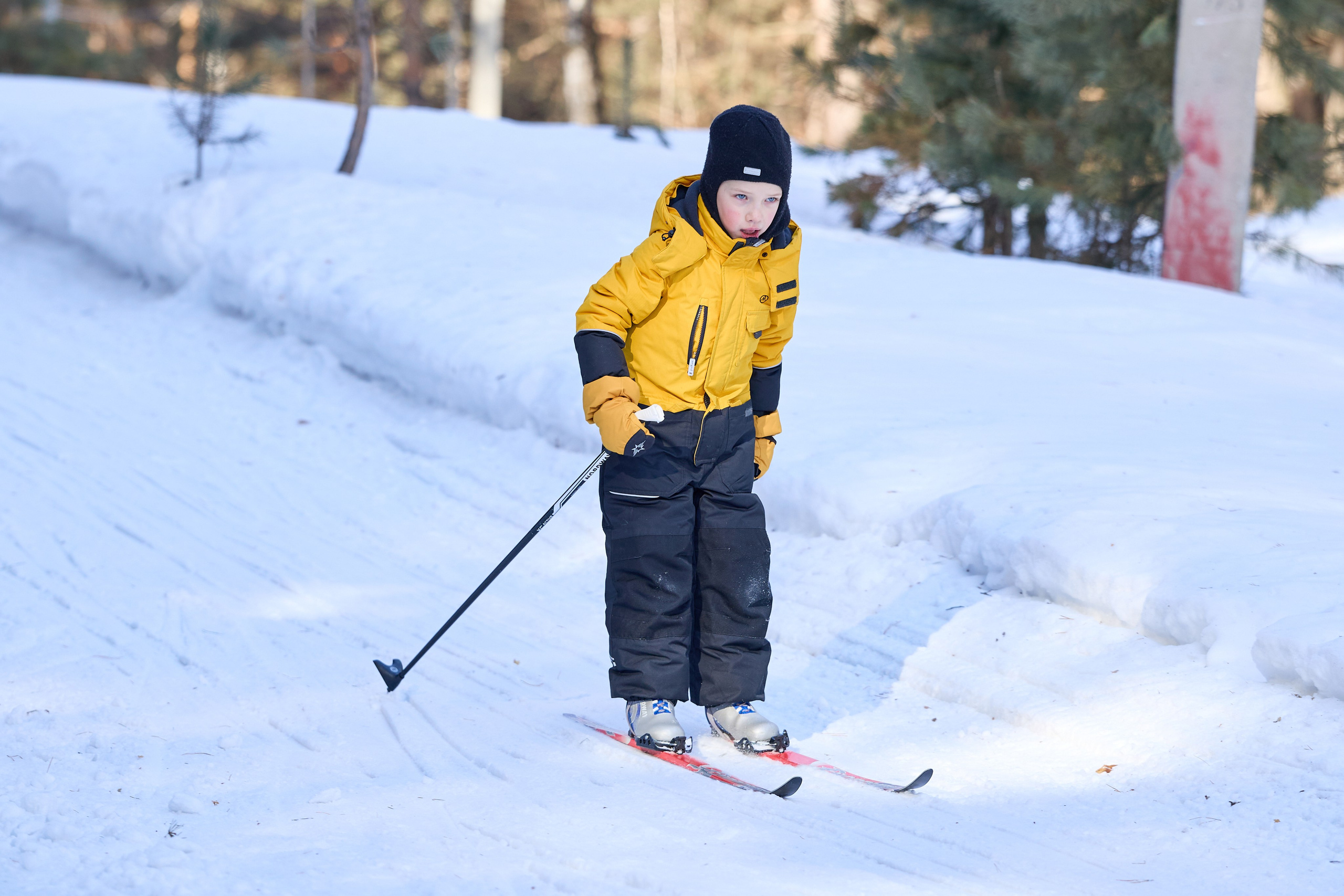 «Лыжня России — 2026» г. Бердск. Фотограф в Новосибирске Алена Скокова