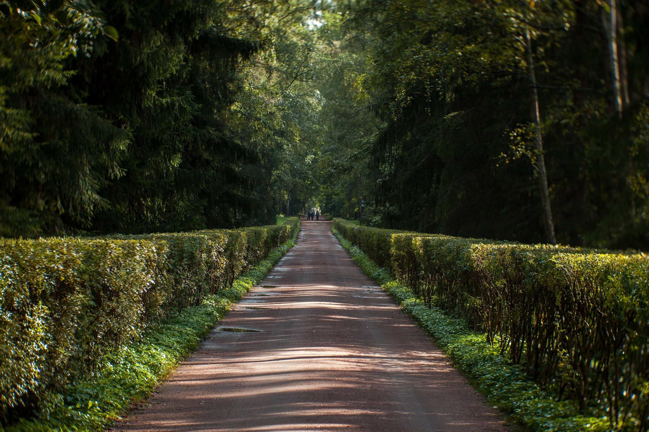 Ландшафтная фотография. Туманов Виталий — фотограф Москва