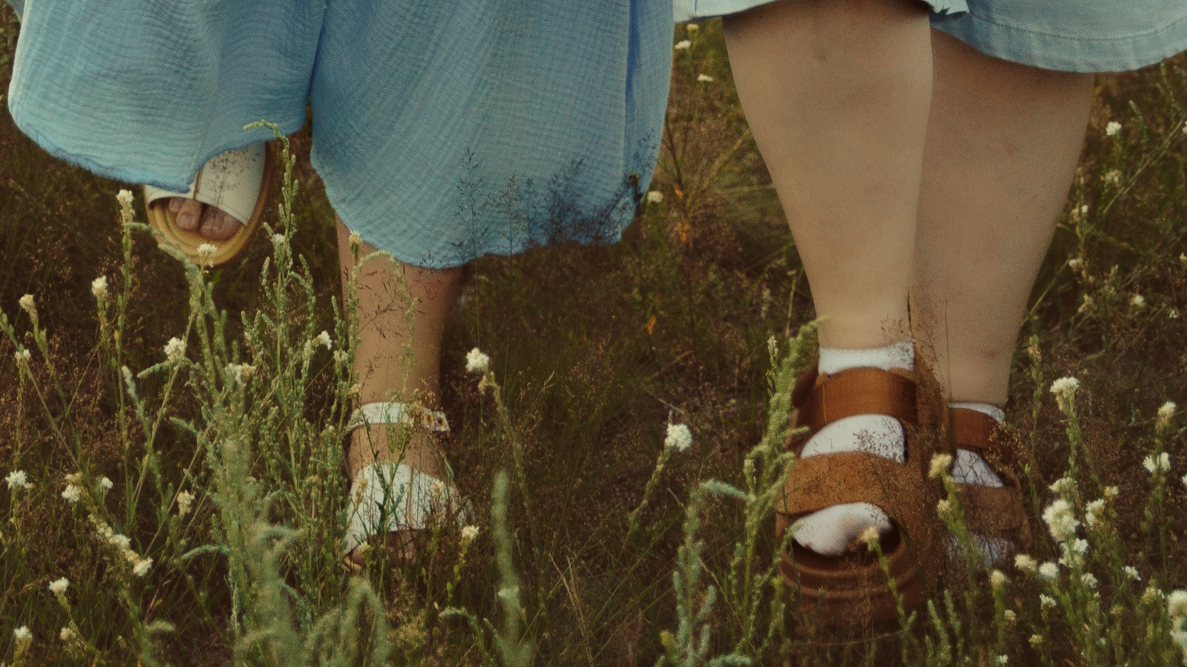 Семейная прогулка