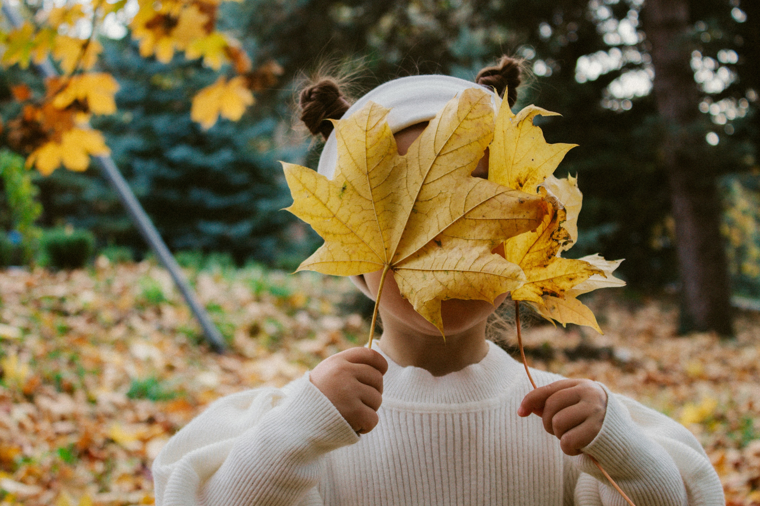 Inga Simonova | Семейный и детский фотограф