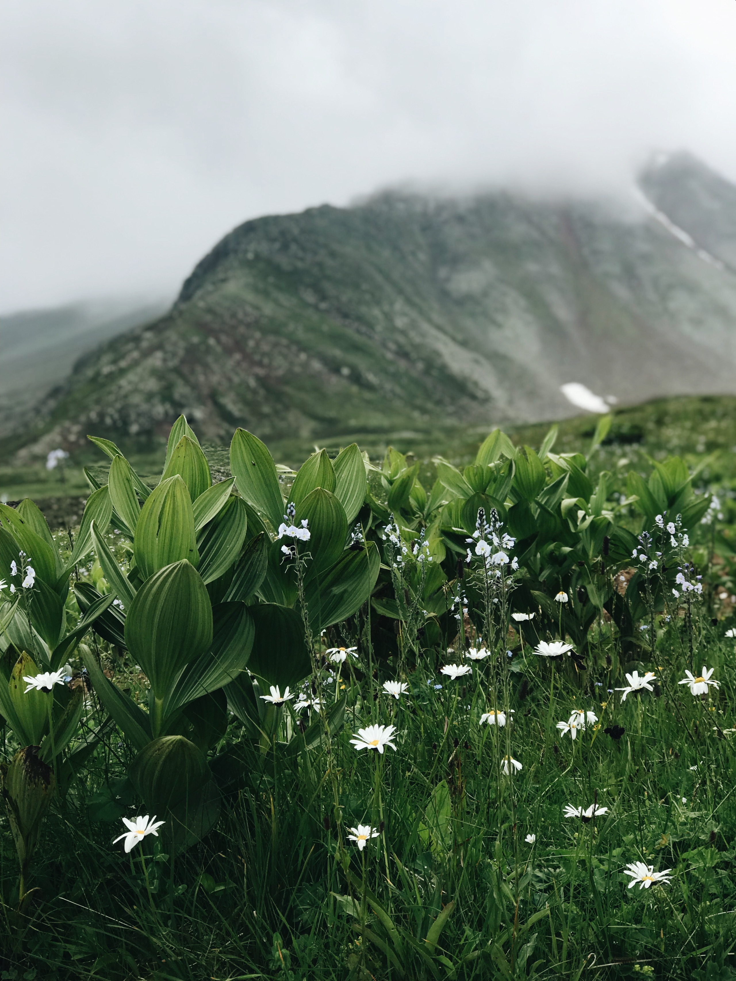 Восхождение на Казбек с Грузии. Уникальные экспедиции — LUCKY CLAN