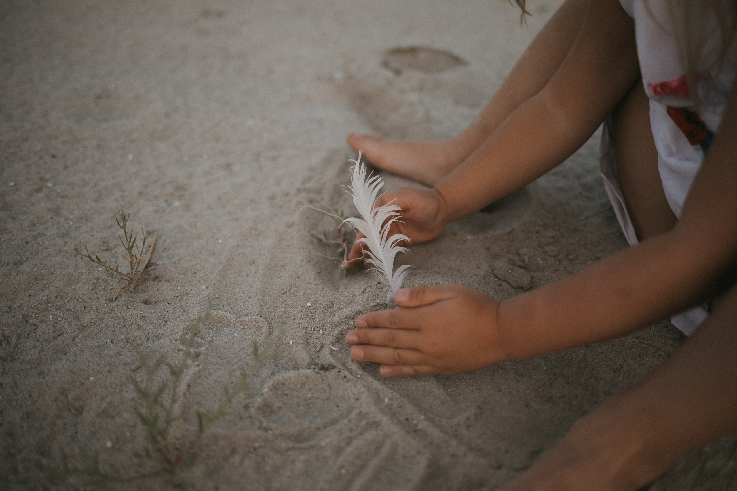 Один летний вечер. Свадебный и семейный фотограф в Курске и Курчатове Киреева Лена