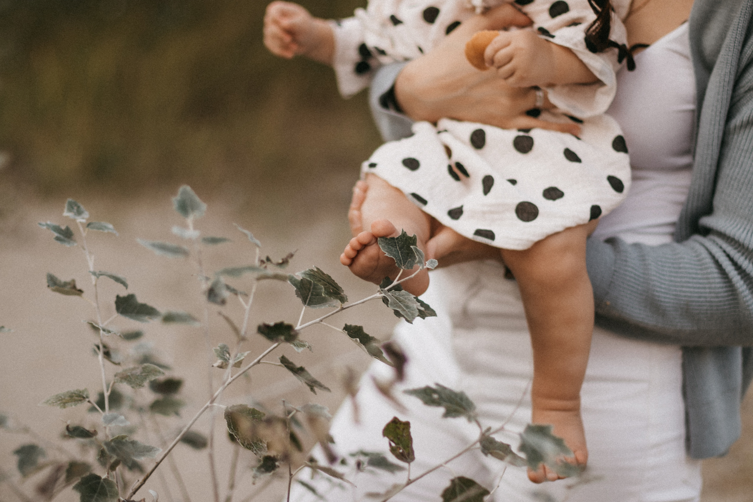 Вика и ее семья. Свадебный и семейный фотограф в Курске и Курчатове Киреева Лена