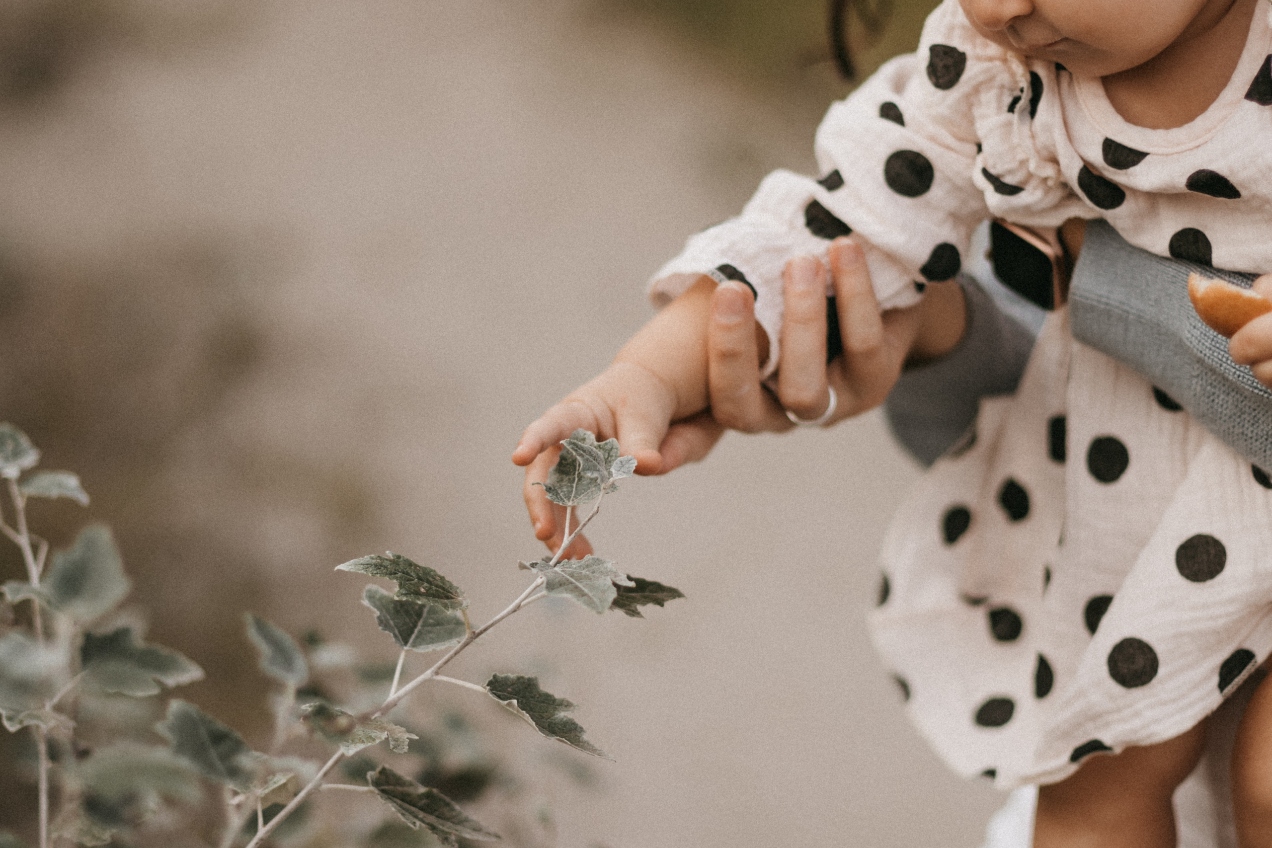 Вика и ее семья. Свадебный и семейный фотограф в Курске и Курчатове Киреева Лена
