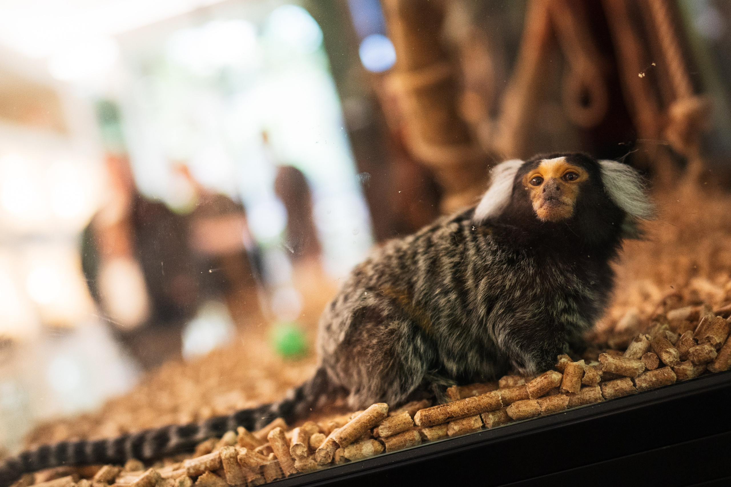 Ночь музеев 2024. Фотограф на любое событие в Кемерово