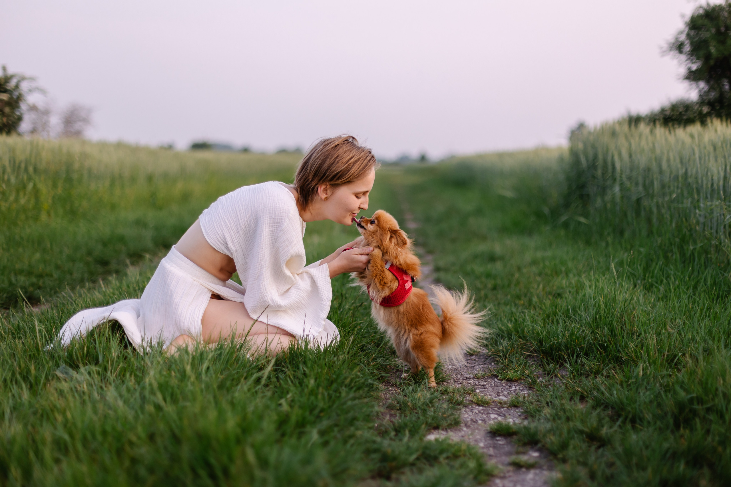 Hundeshooting / Hundefotografie. Fotografin in München Dasha Antipina