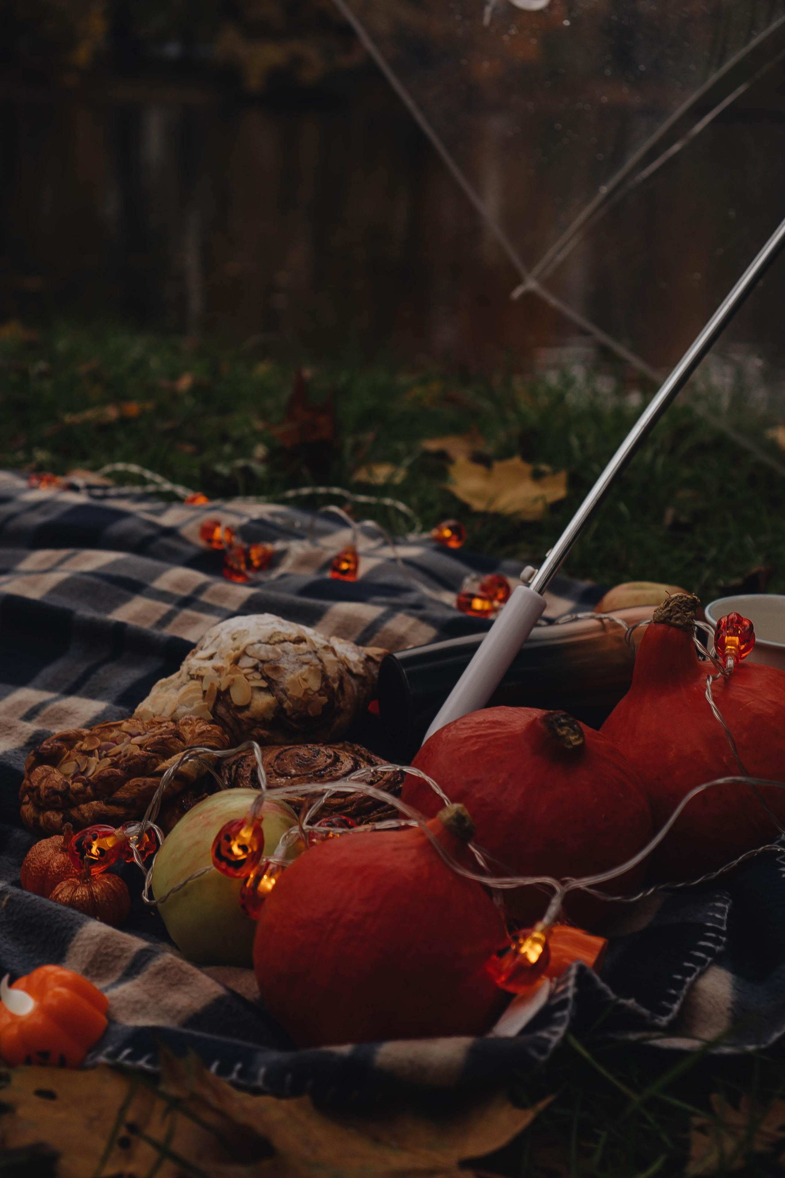 Осень. Профессиональный фотограф, Санкт-Петербург — Виктория Богомолова