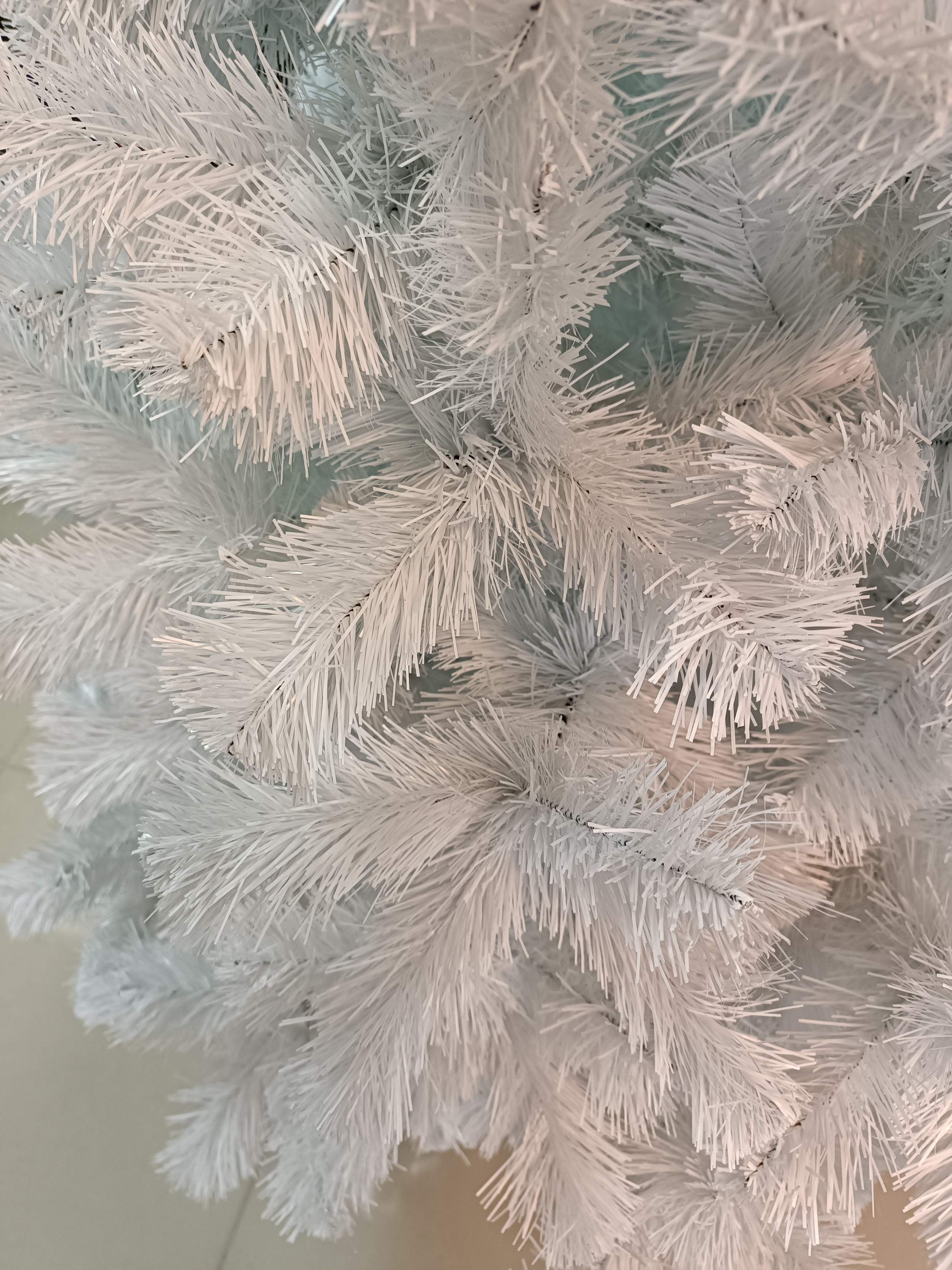 ИЗАБЕЛЬ. Elki_grodno