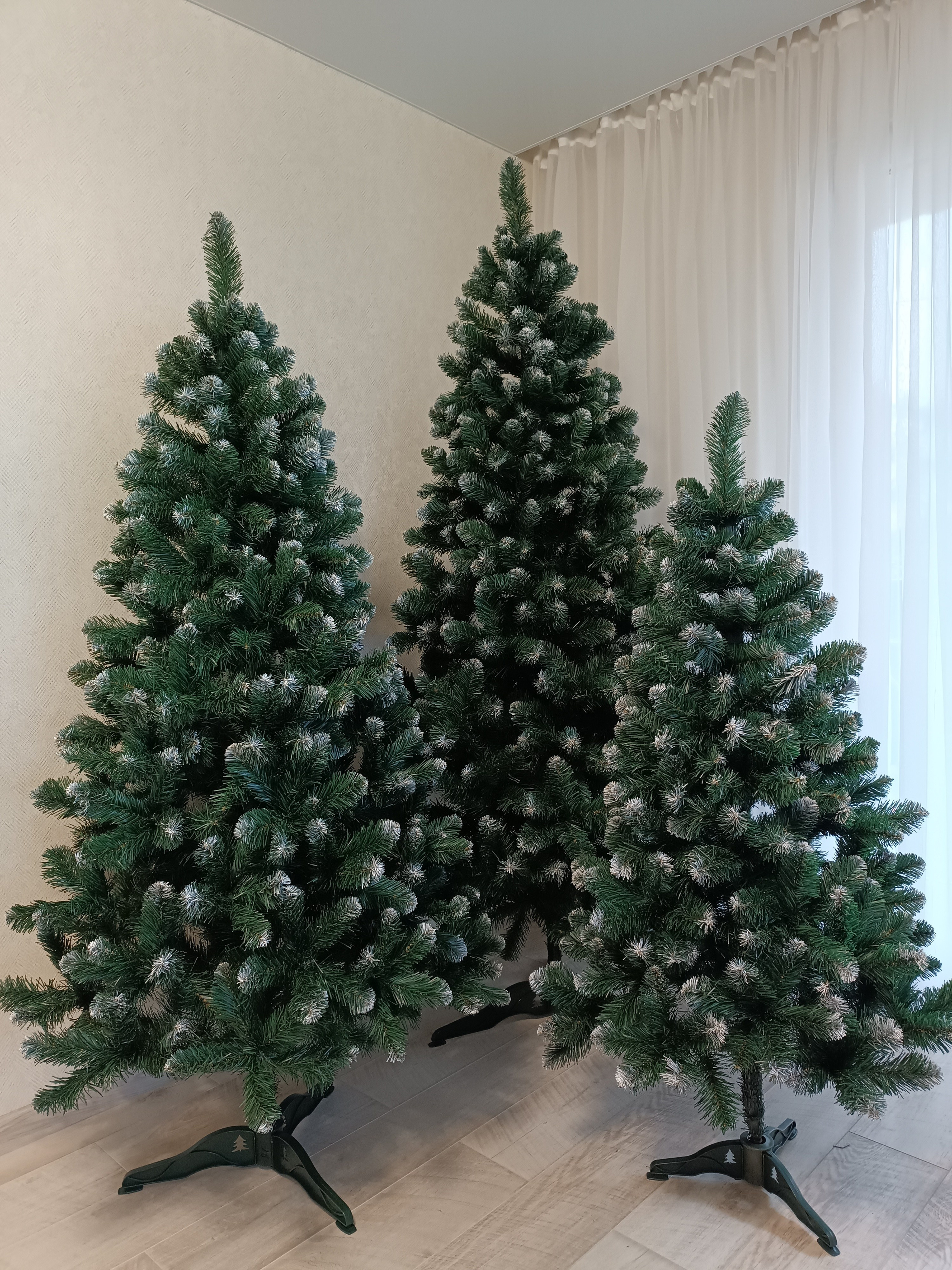 АЙРИС. Elki_grodno