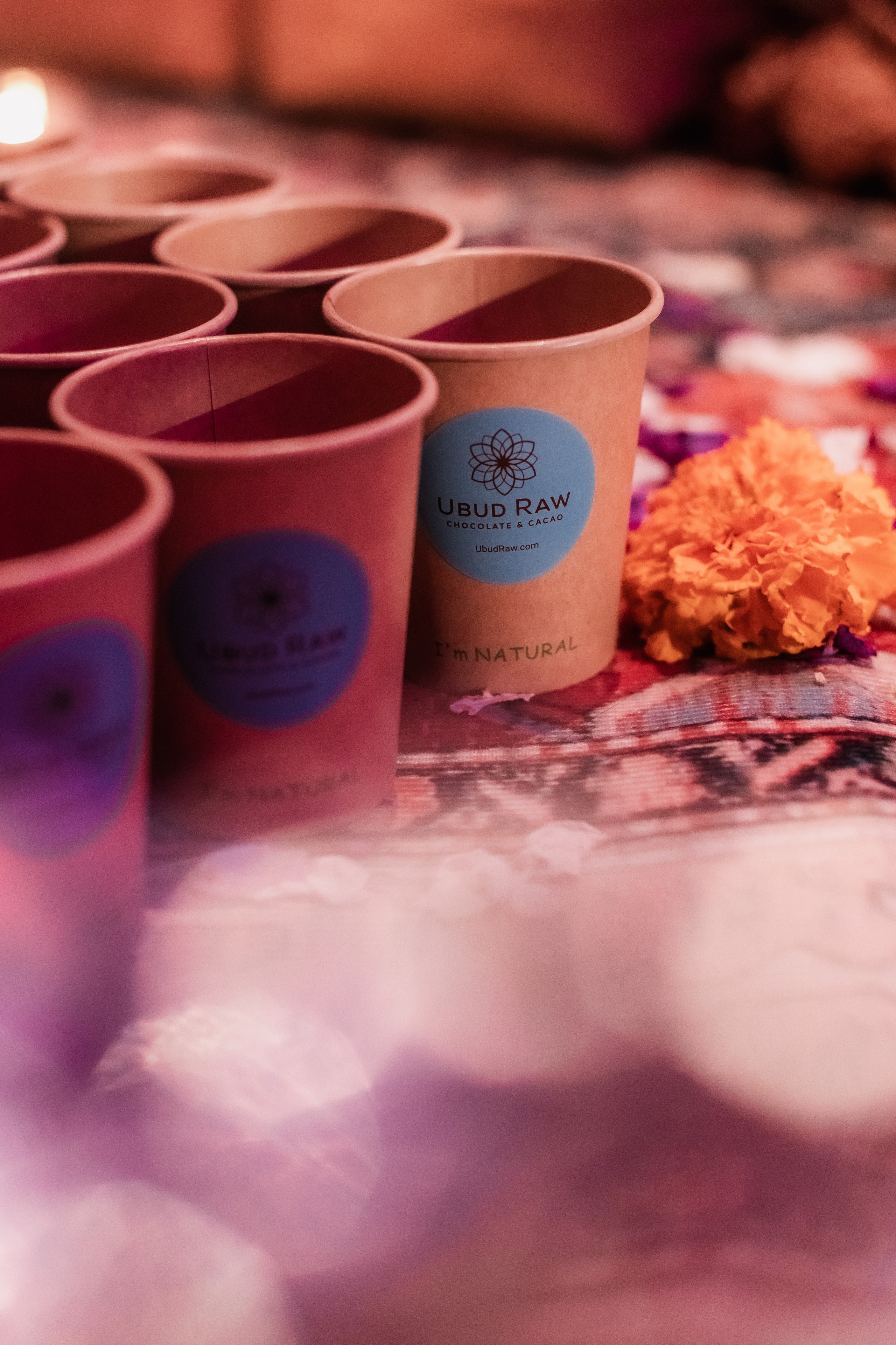 Hanuman Project. Мариам Багдасарян