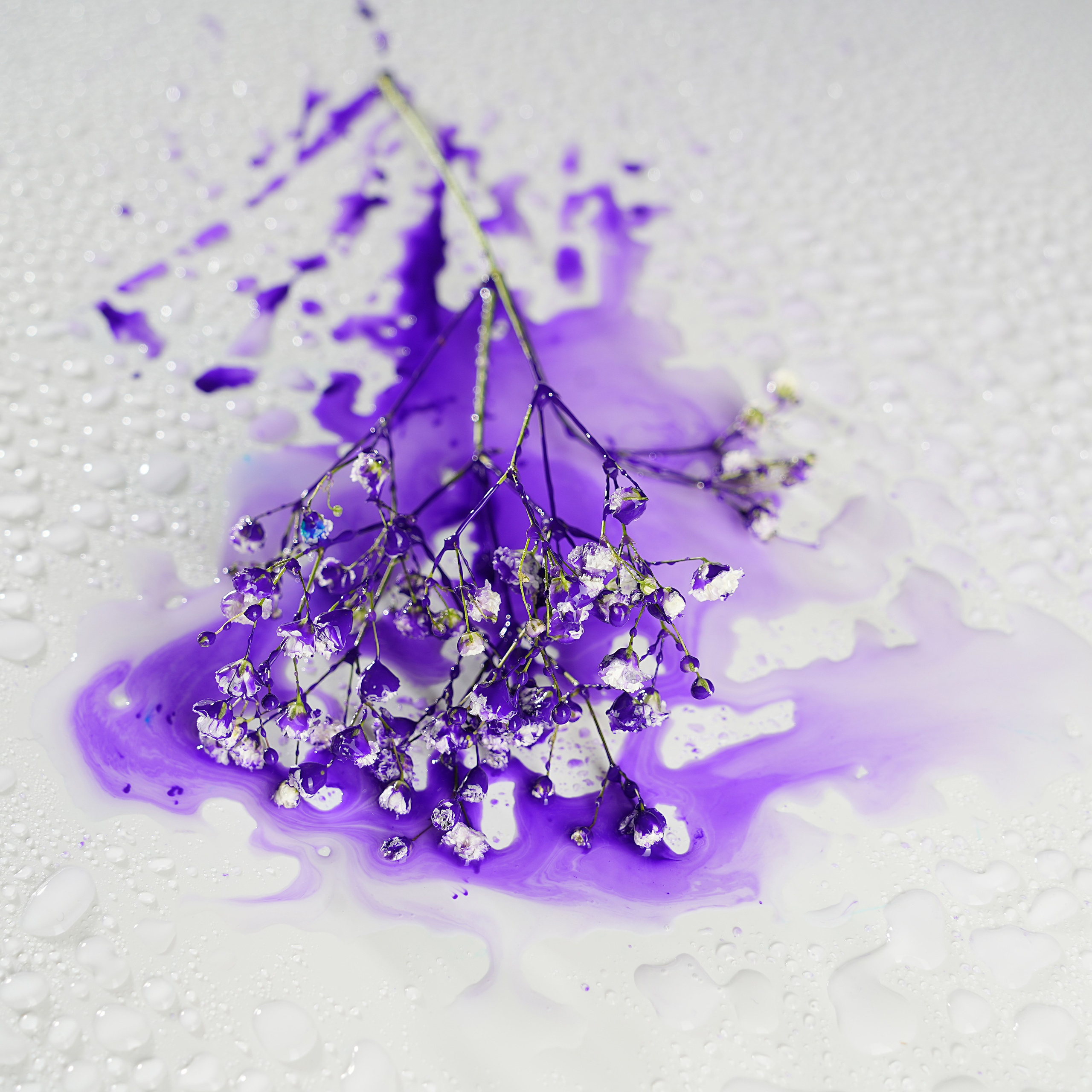 Предметная фотосъёмка. Фотограф, видеооператор Нина Коршунова