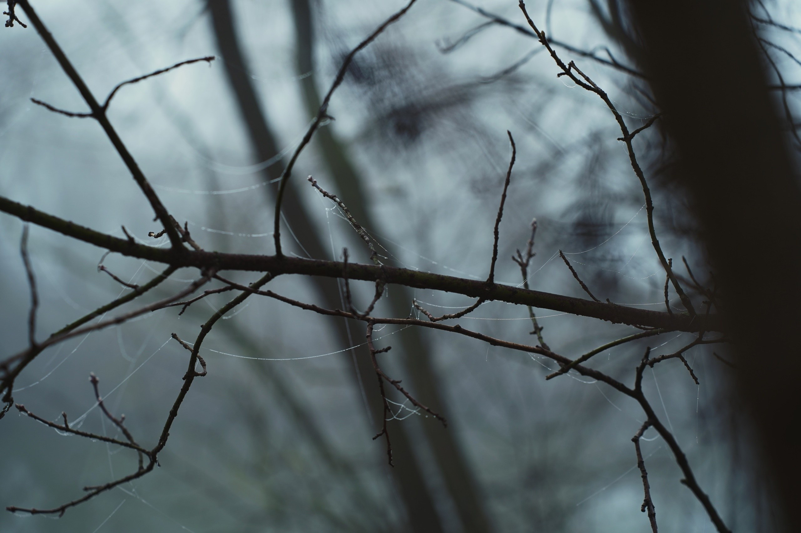 DIRTY RABBIT. Фотограф и визуальный художник в Туле / Николай Рейзвих