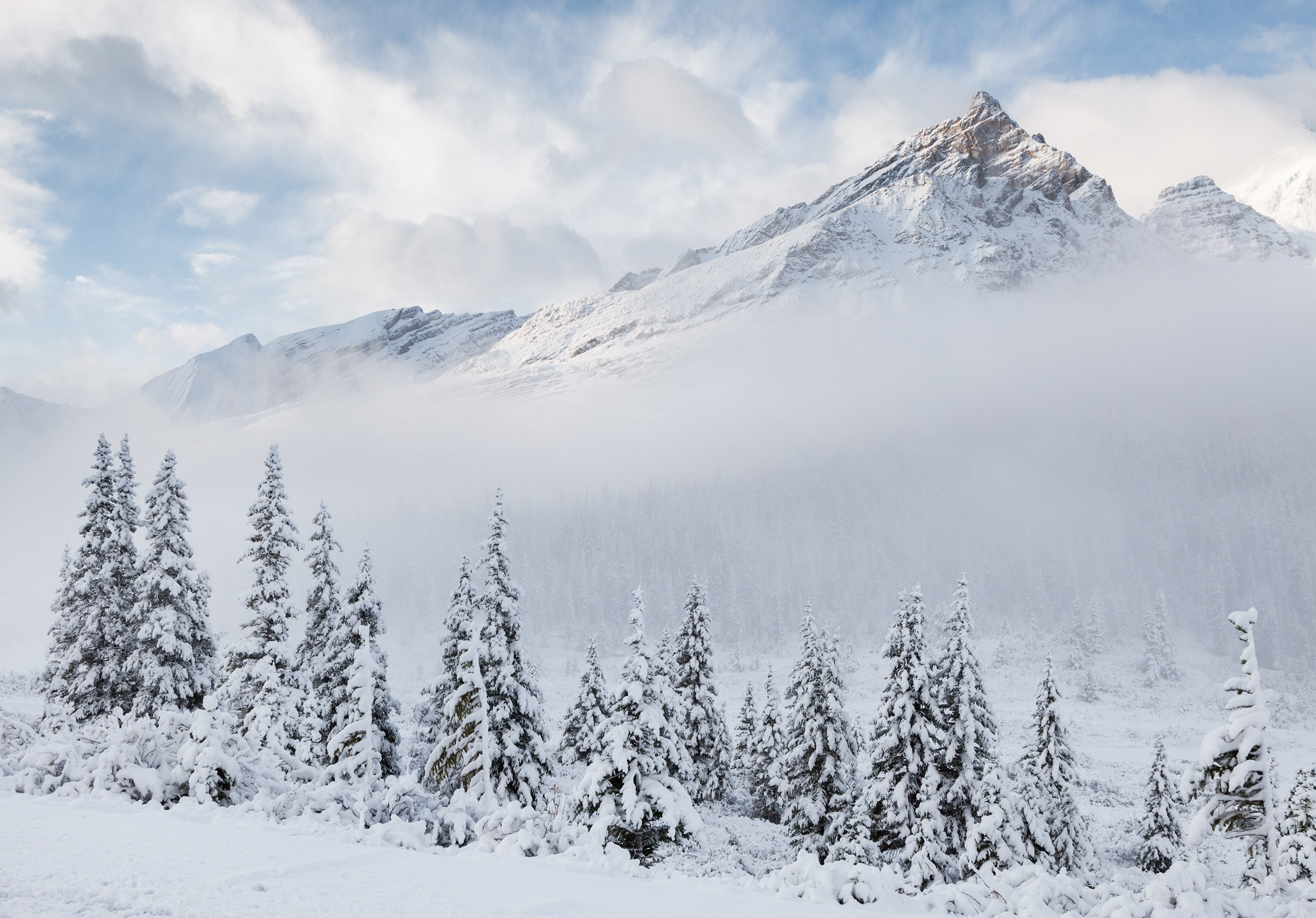 Канада. Фотограф Владимир Медведев