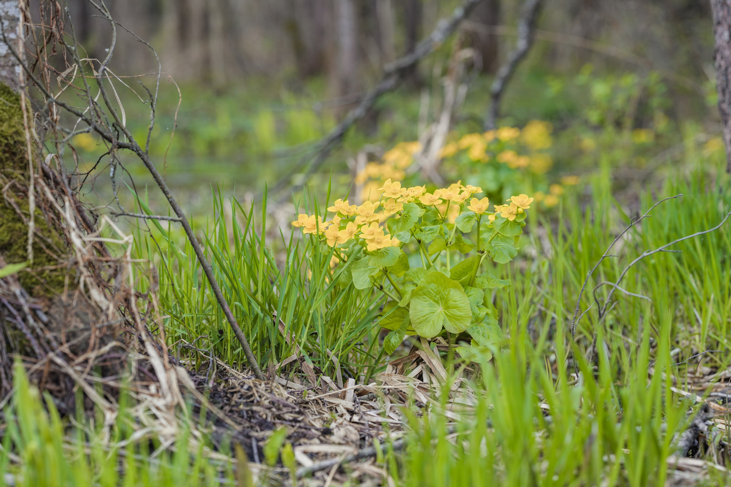 Водный поход 1-й кс по реке Случь. Репортажный фотограф Владимир Беляй