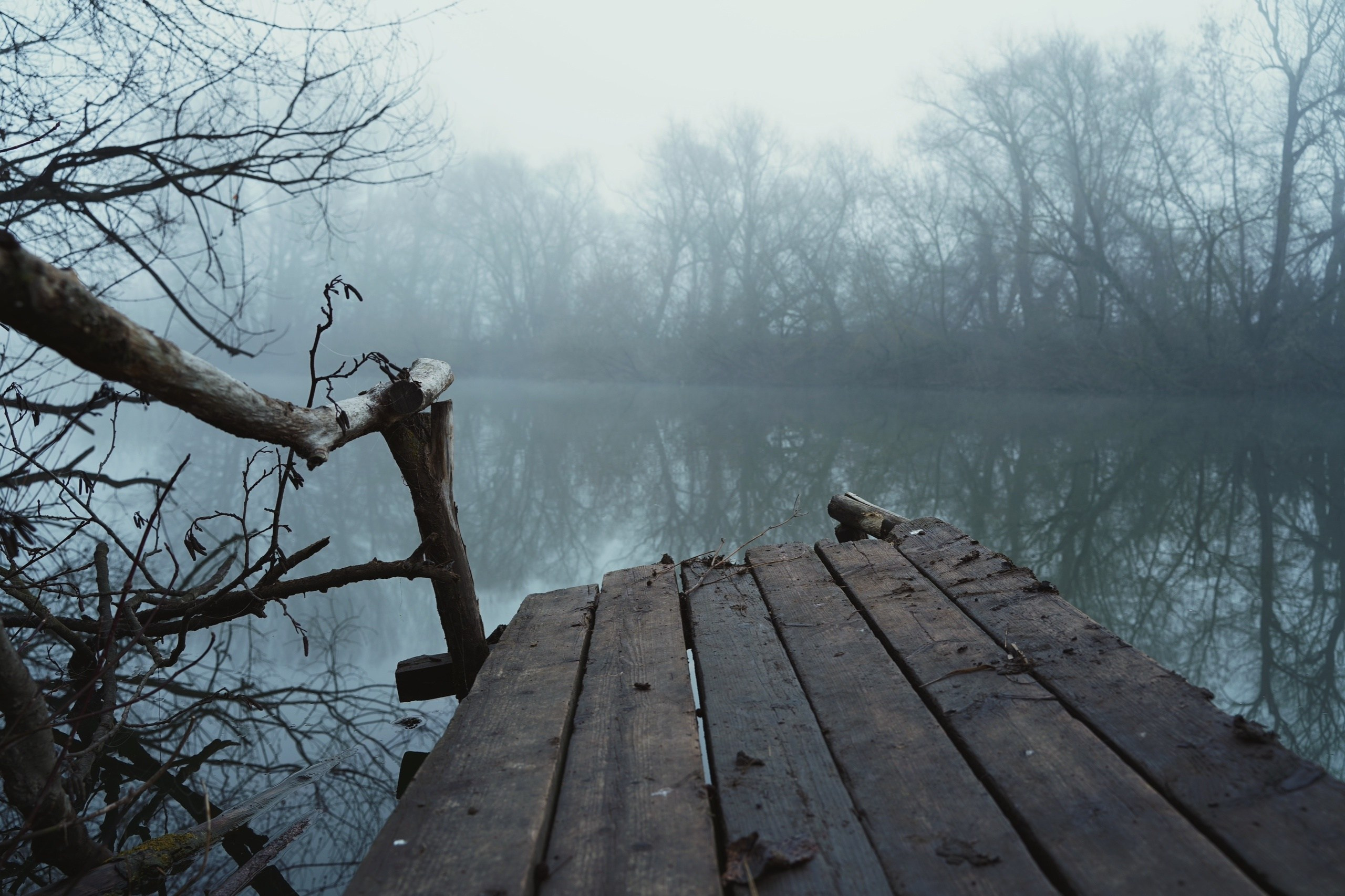 DIRTY RABBIT. Фотограф и визуальный художник в Туле / Николай Рейзвих
