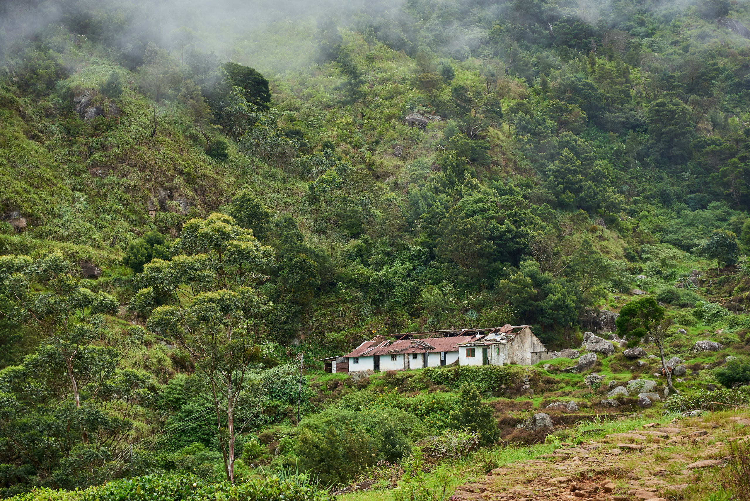 Moto Trip 23-05-19. Никита Хохловский фото и видео продакшн