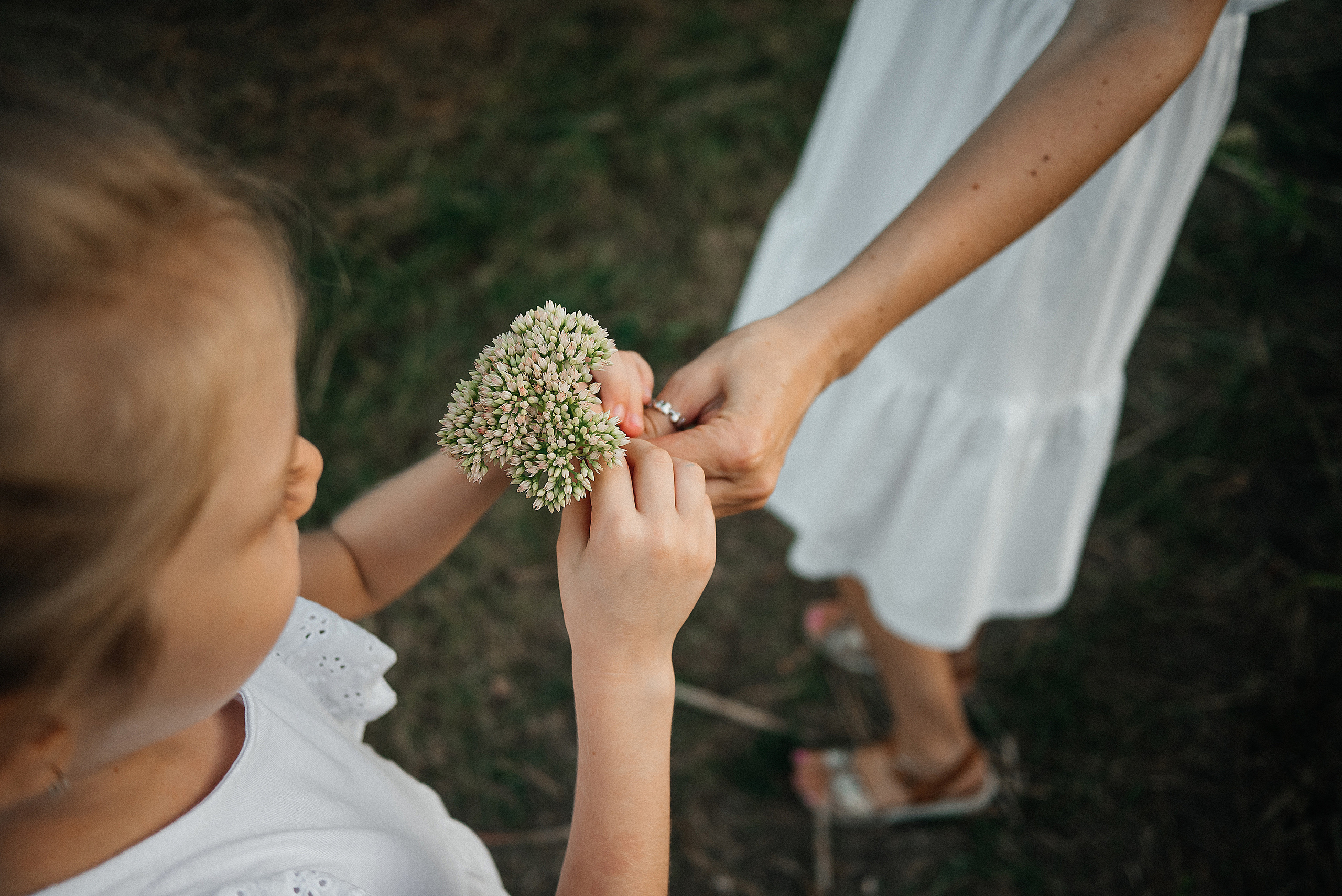 Семейная история. Свадебный и семейный фотограф в Ростове-на-Дону Алина Астахова