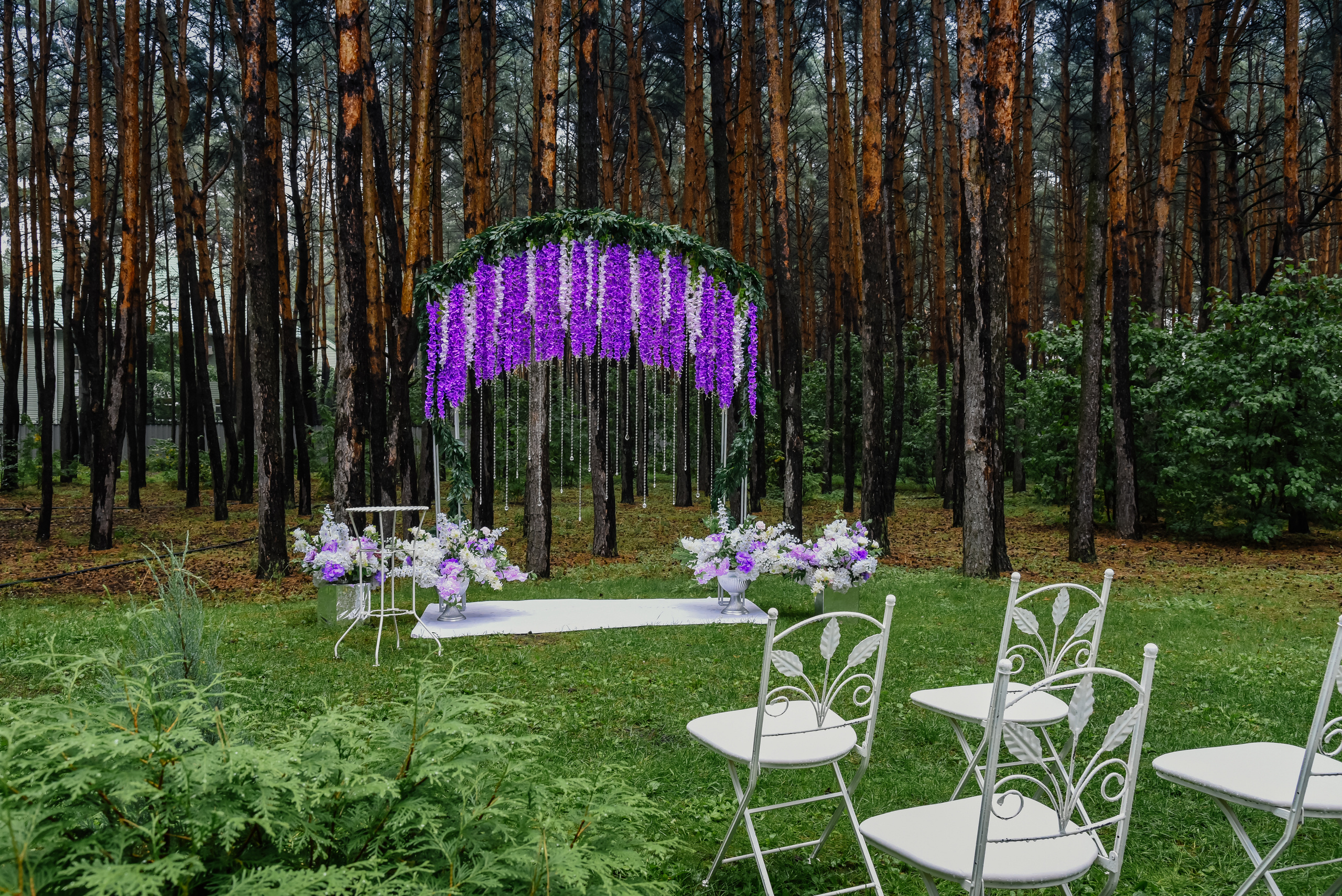 Евгений и Яна. Свадебный и семейный фотограф