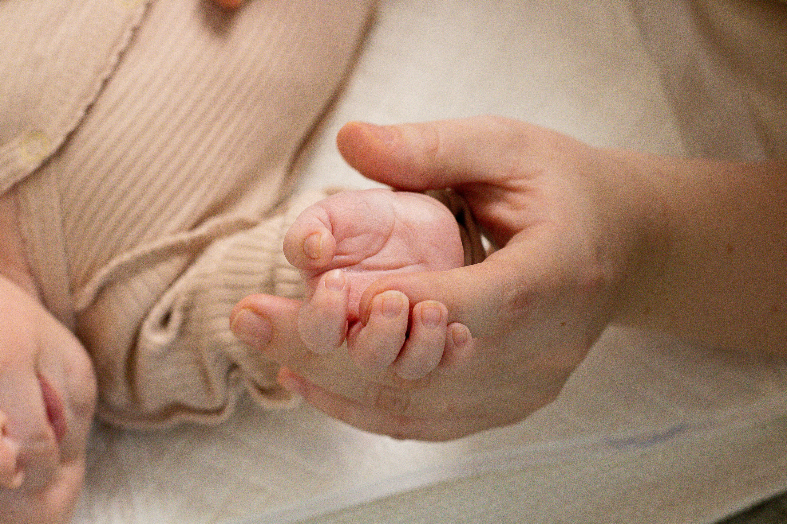 Студийное и прогулочное. LeChuPhoto_Omsk