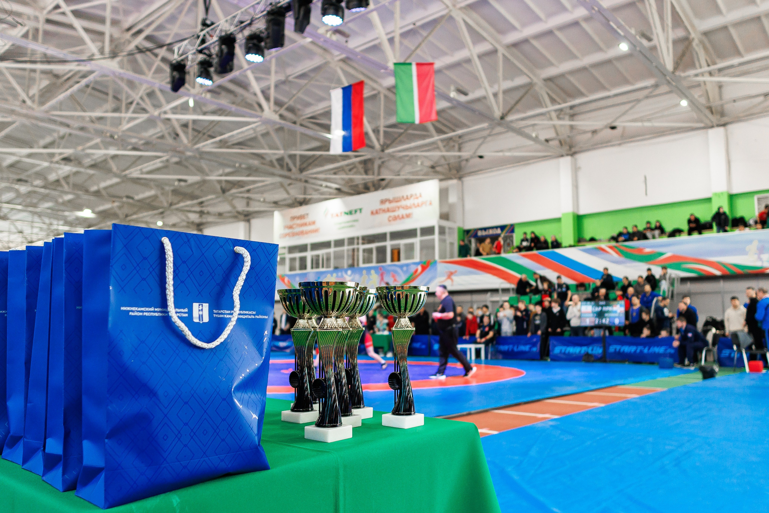 Спортивные состязания