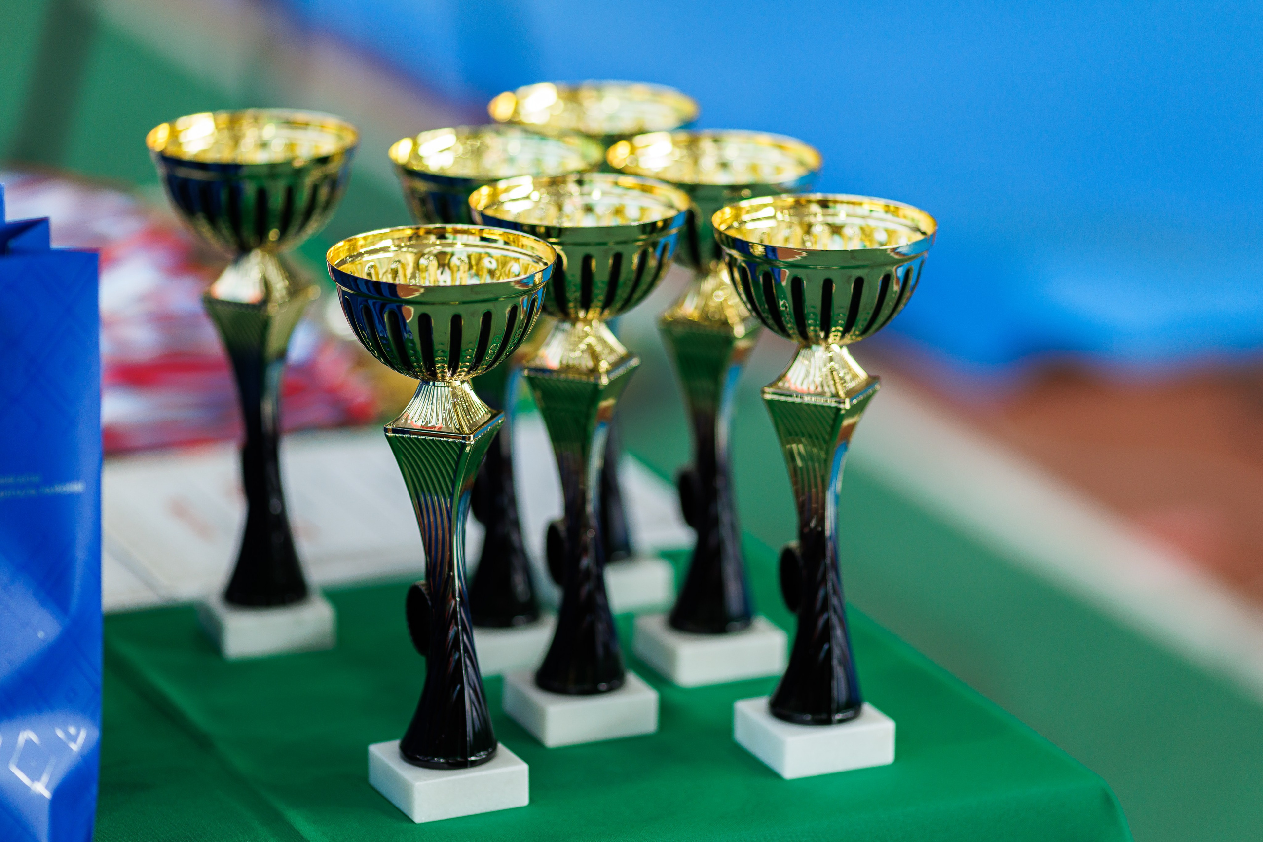 Спортивные состязания