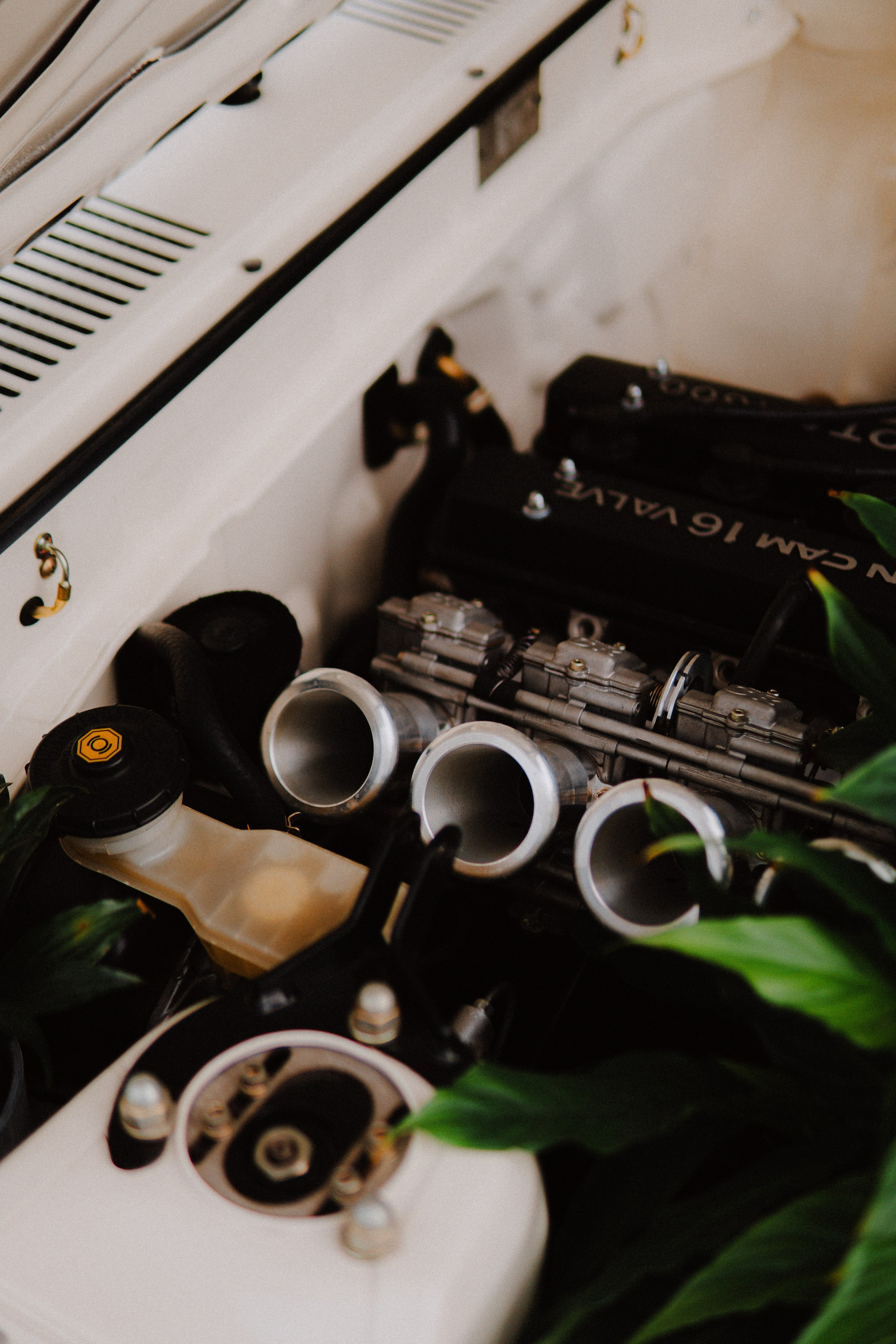 SURF x VESHKI CARS&COFEE. GRAINTHUG | PHOTO