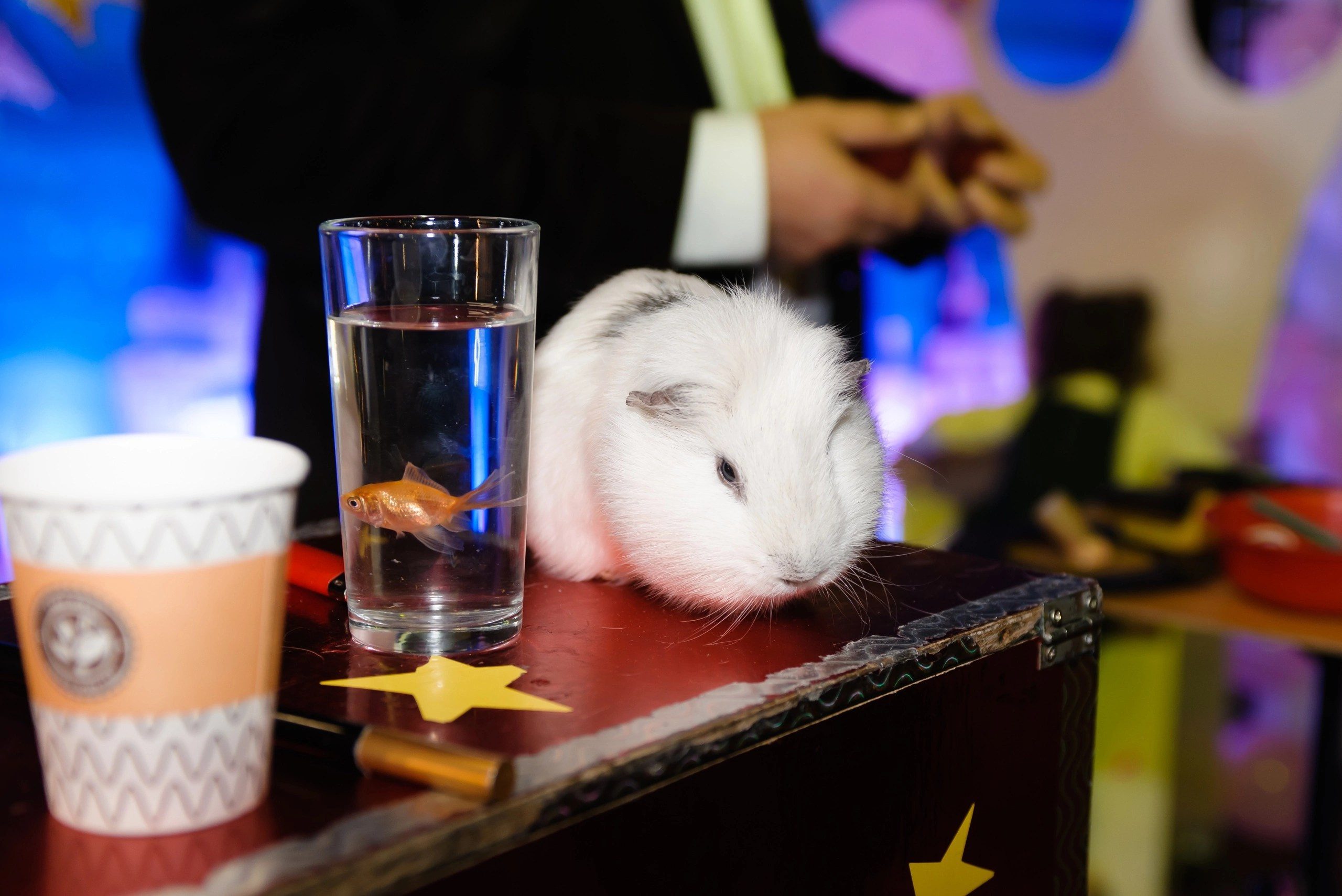 THE FACTORY. Организация мероприятий Донецк (ДНР). Организация и декор мероприятий Донецк (ДНР)