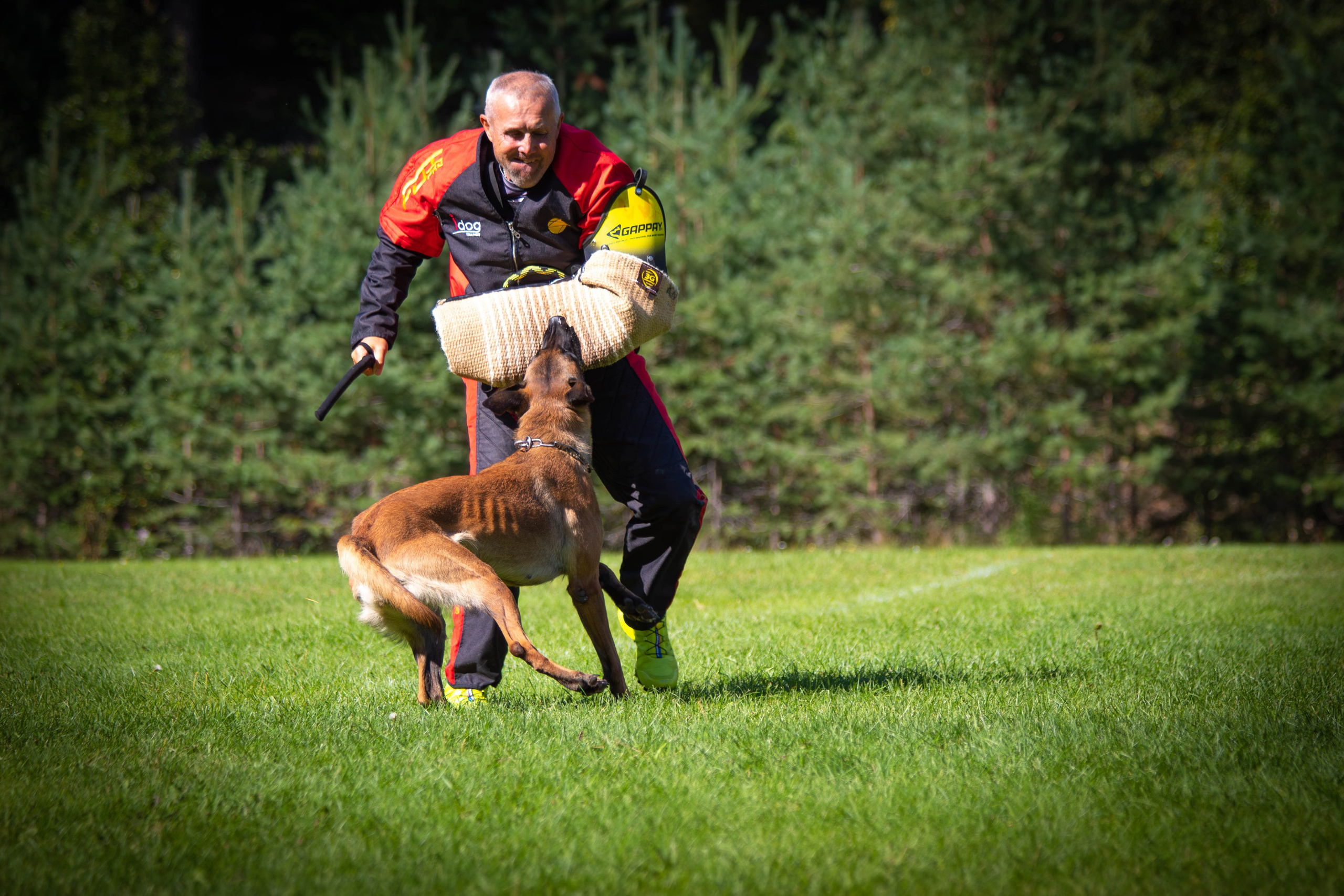 Репортажная съёмка собак Тула 