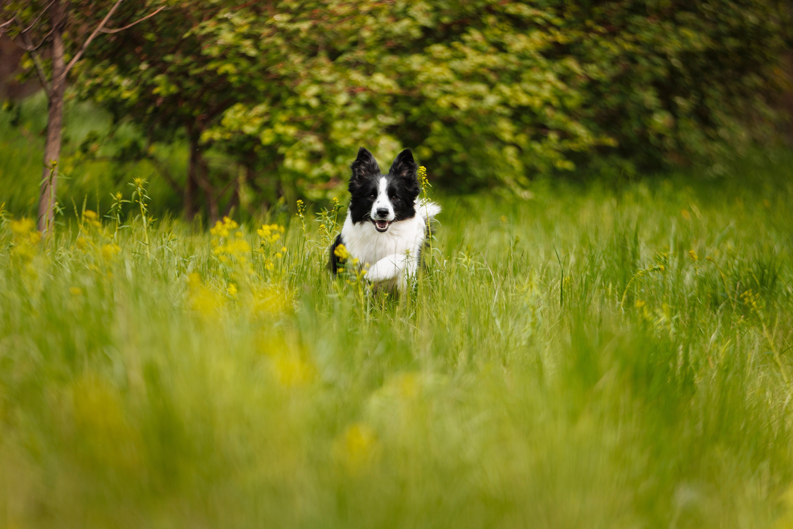 Ryzhaya Molniya Easy — Изи. О нас