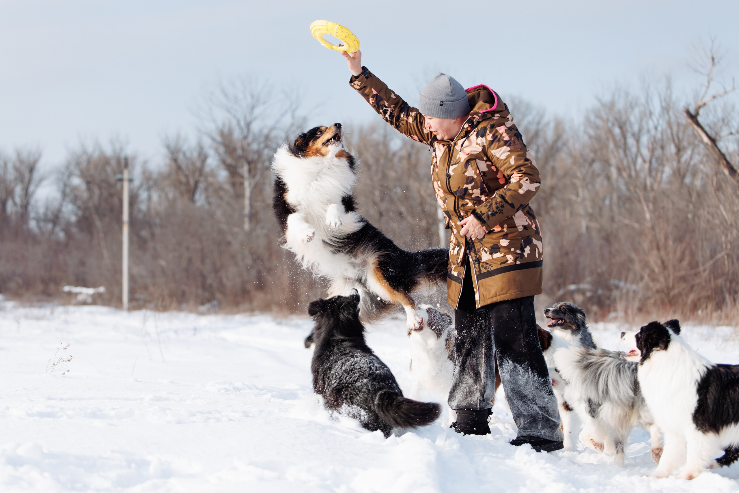 Яркий январь. О нас