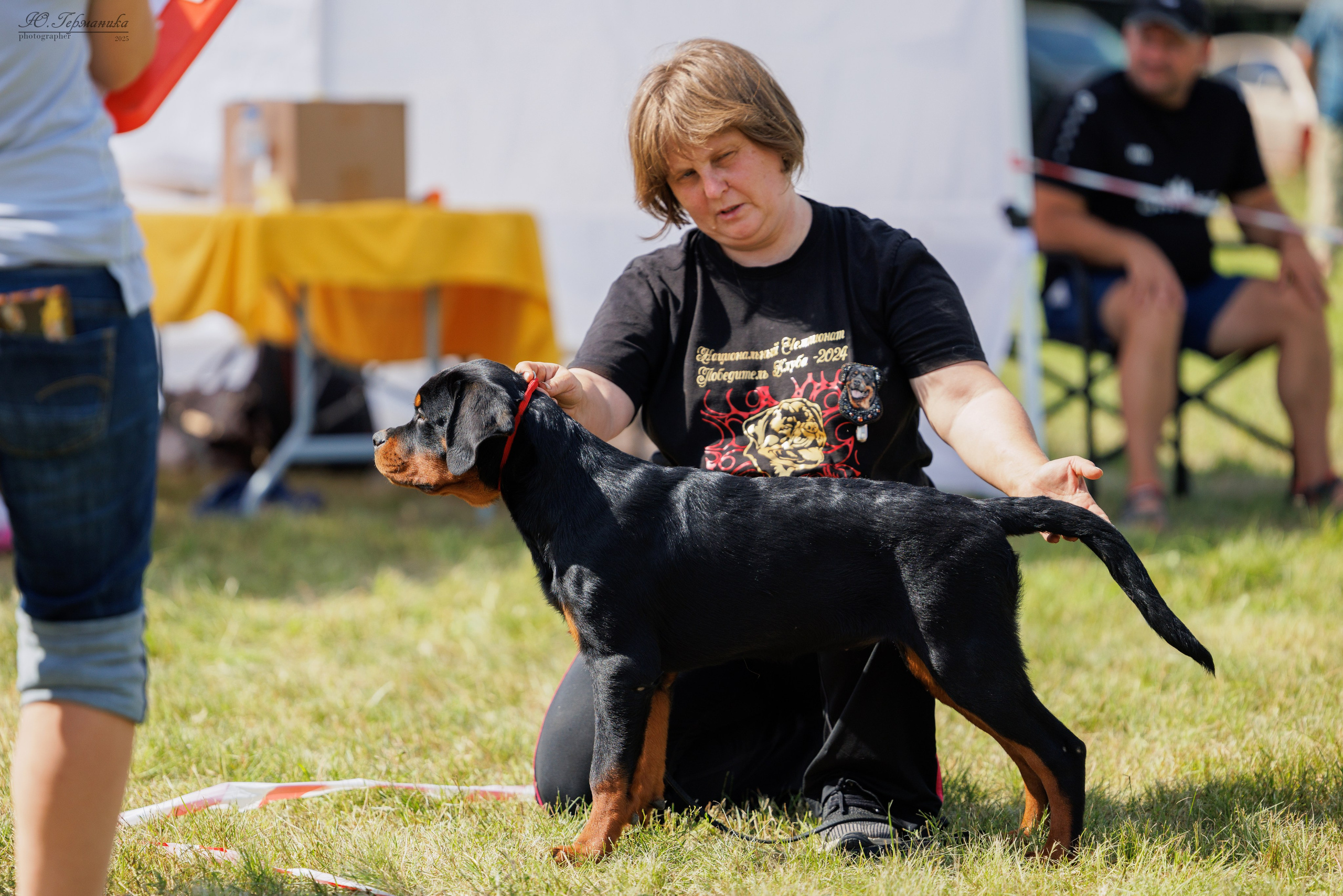 Рязань 2хмоно ротвейлеры 16-17.08.2025. Фотограф-анималист Юлия Германика