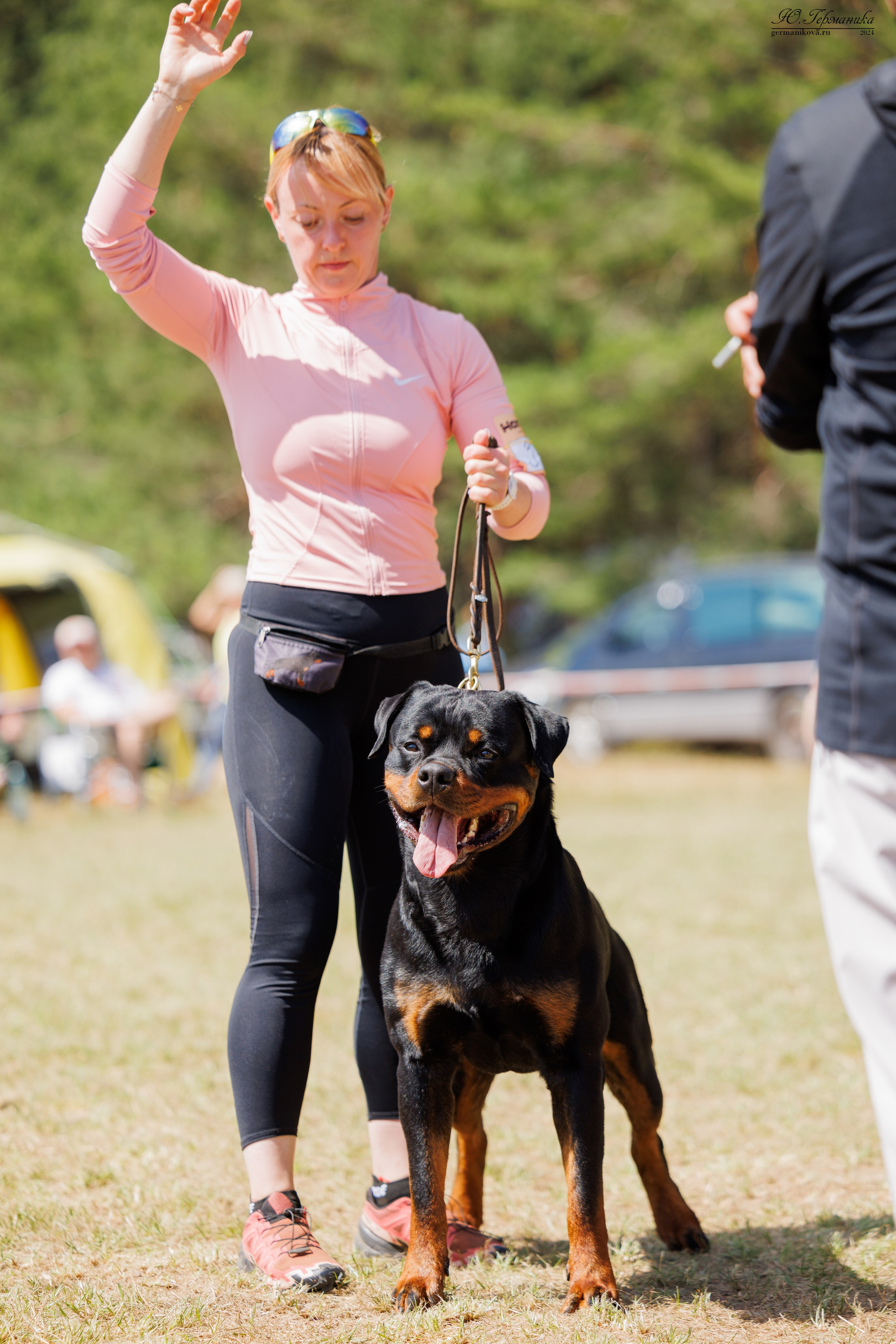 ПК и КЧК ротвейлеры Тверь 6-7.07.2024. Фотограф-анималист Юлия Германика