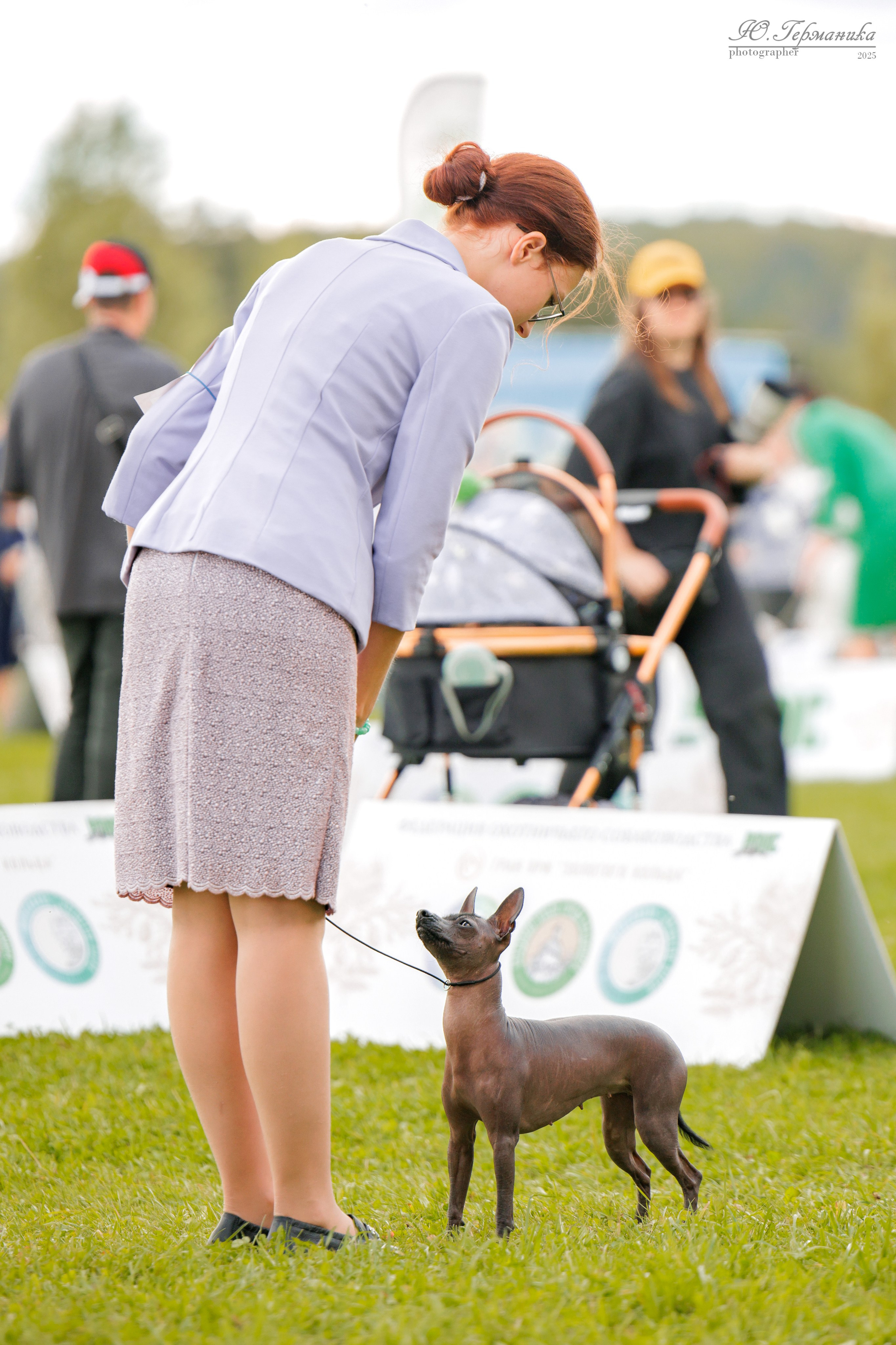 Переславль 5-7.08.2025. Фотограф-анималист Юлия Германика